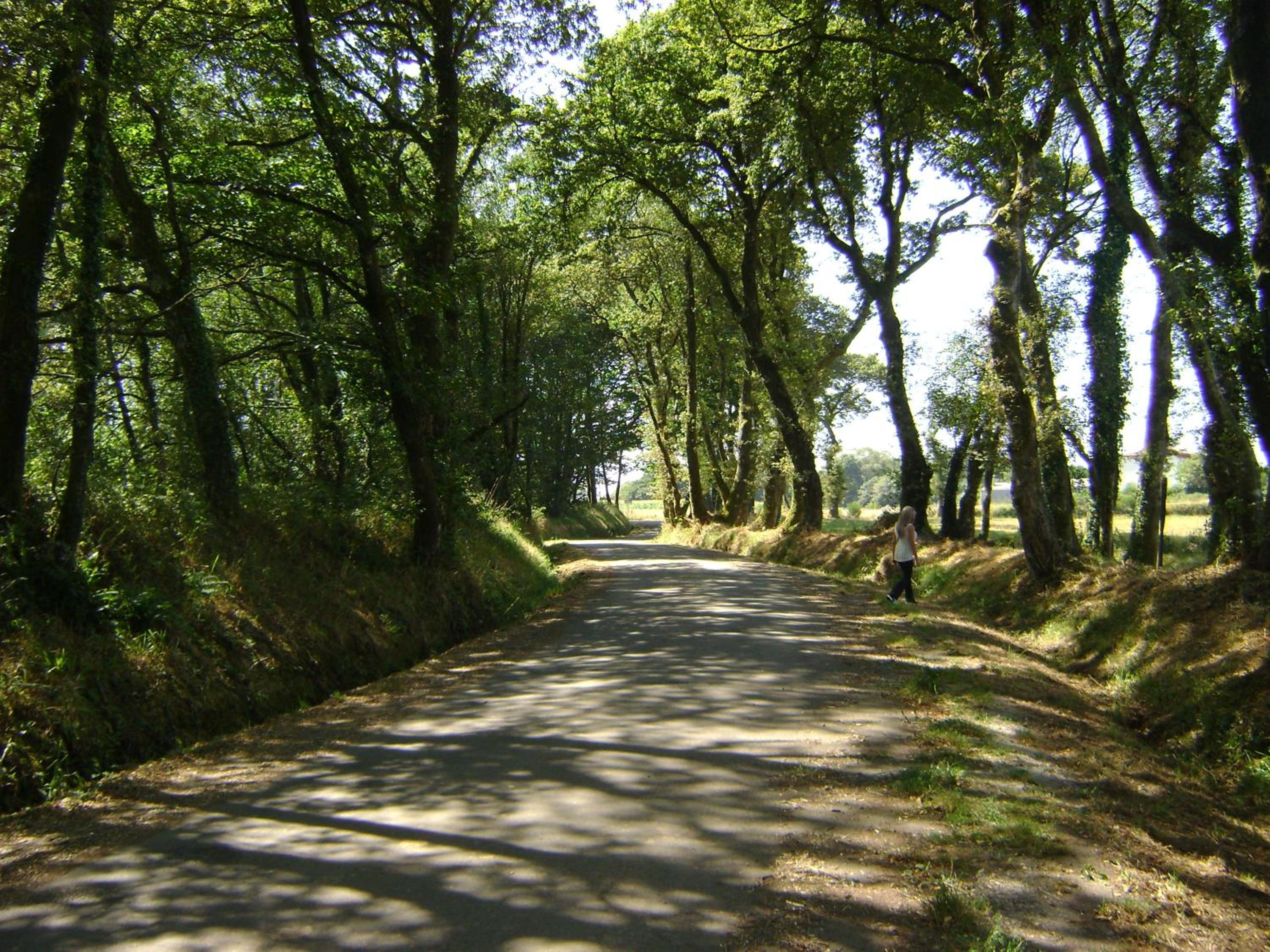 Photo 20