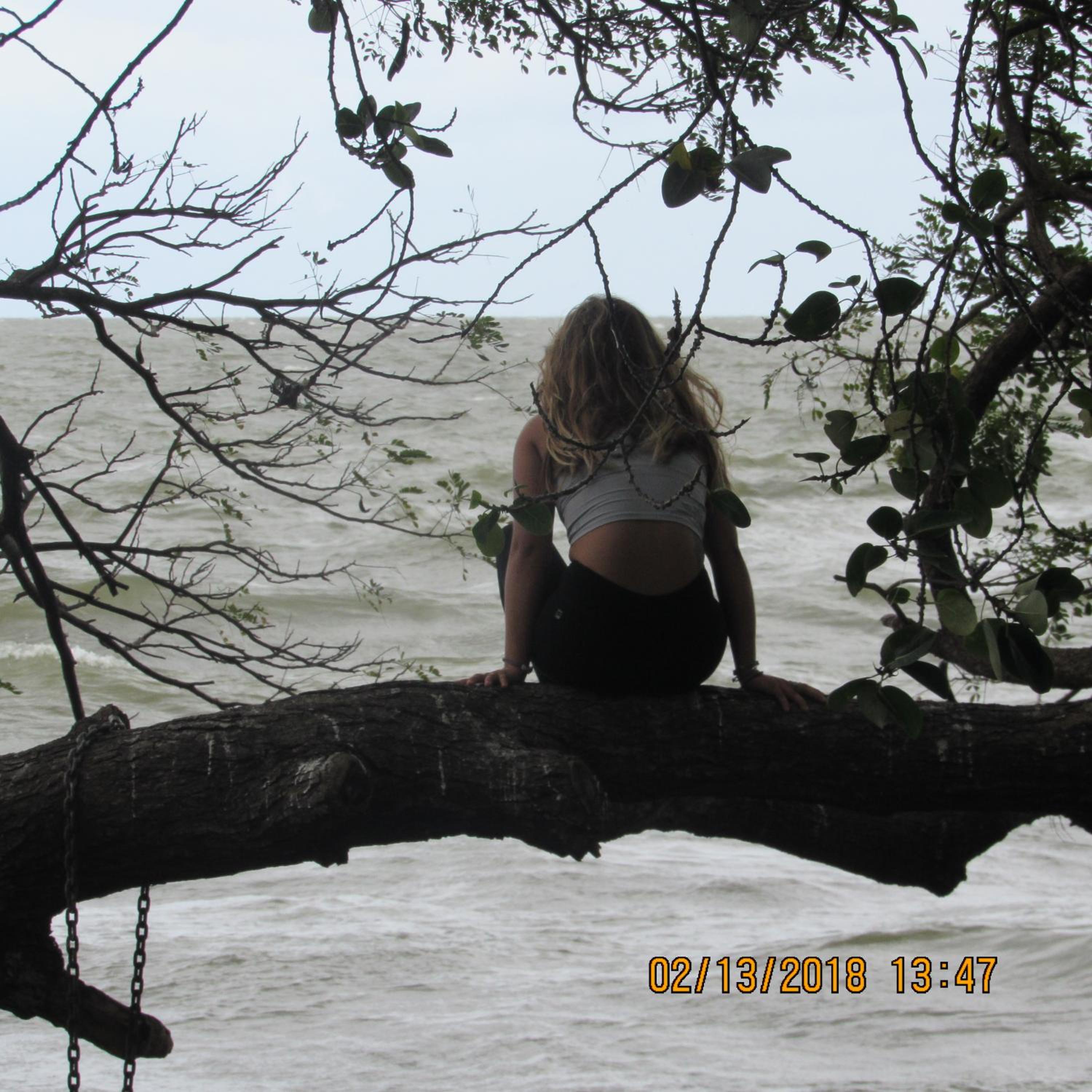 Photo 41