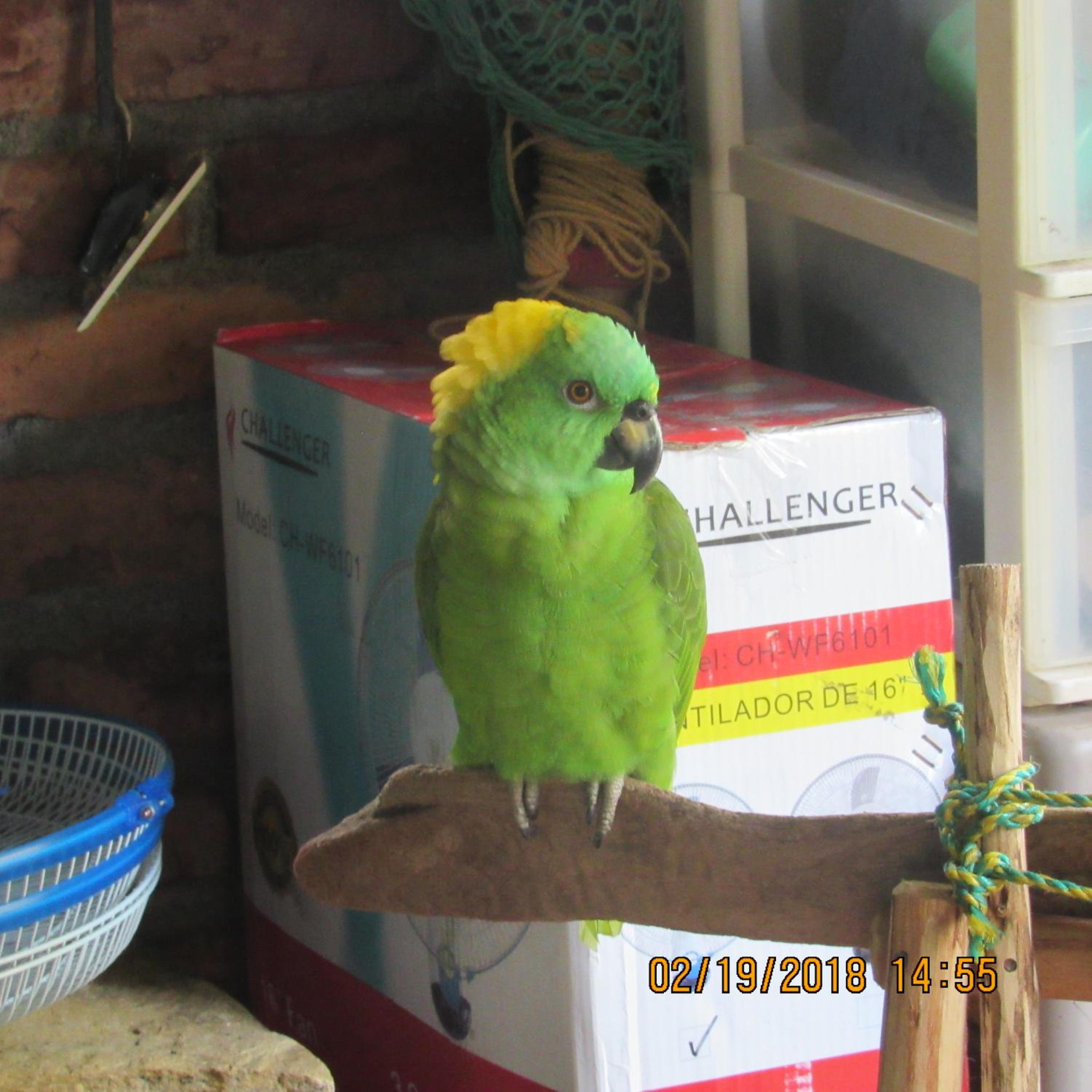 Photo 40