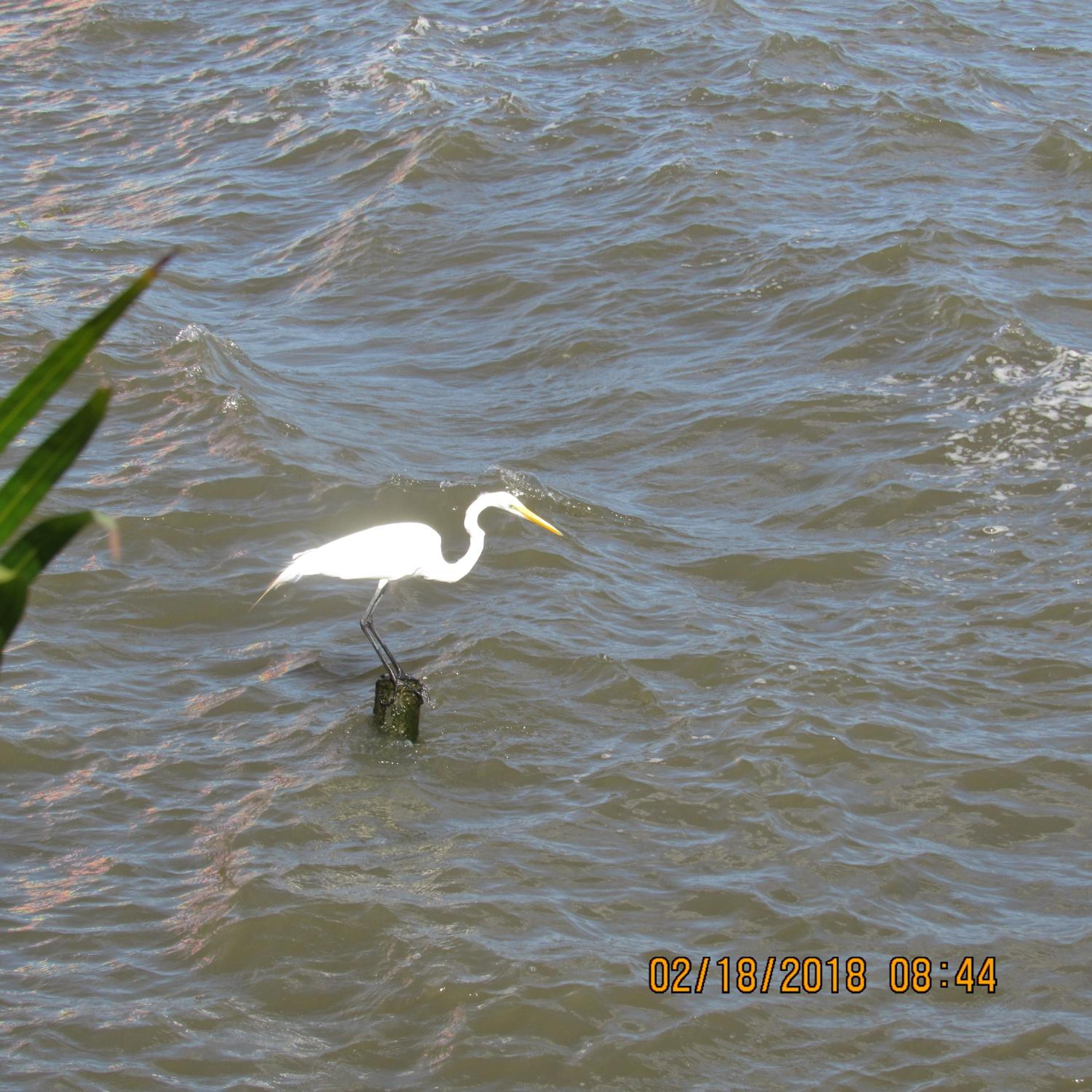 Photo 32