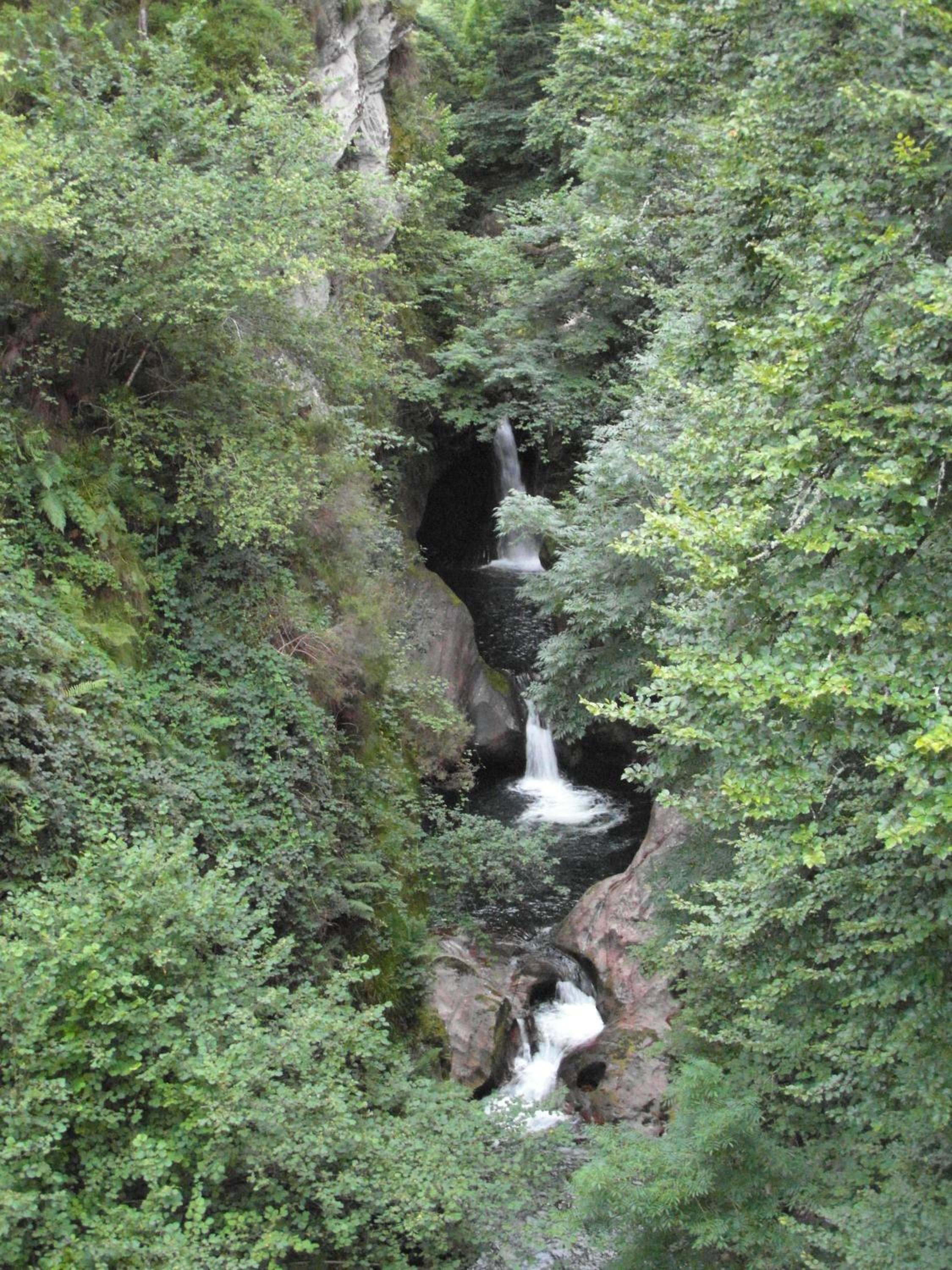 Photo 12