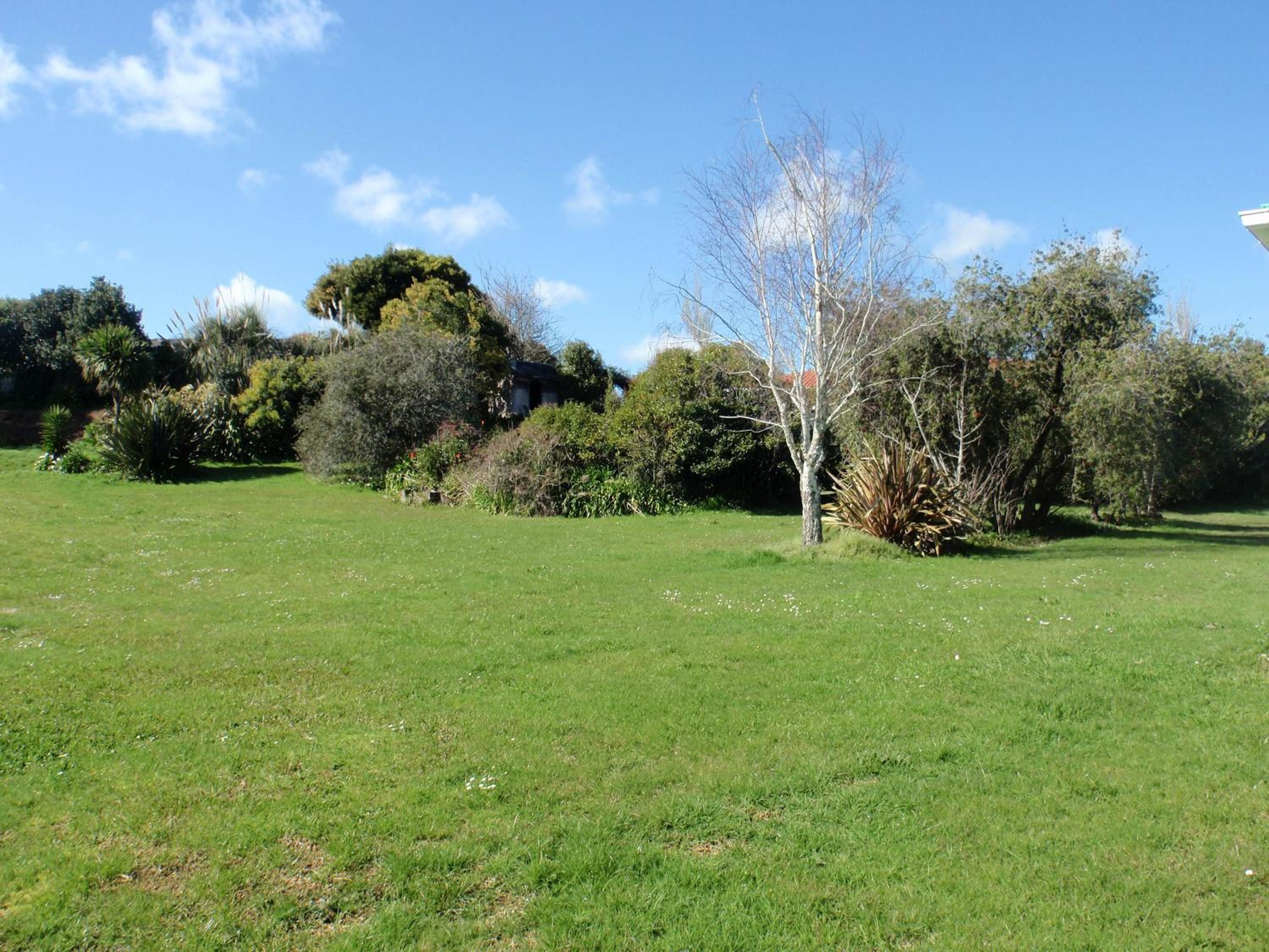 Photo 42