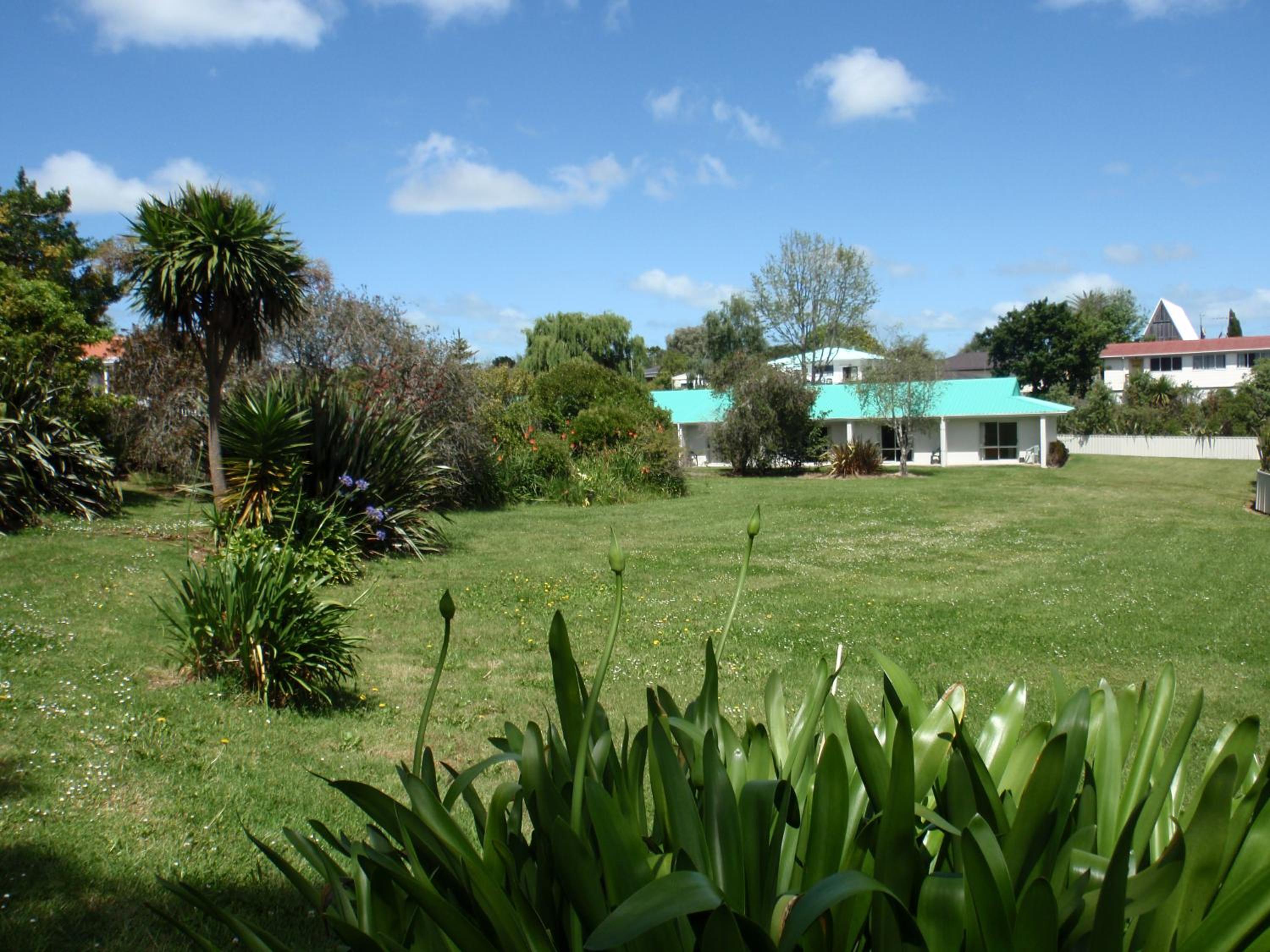 Photo 41