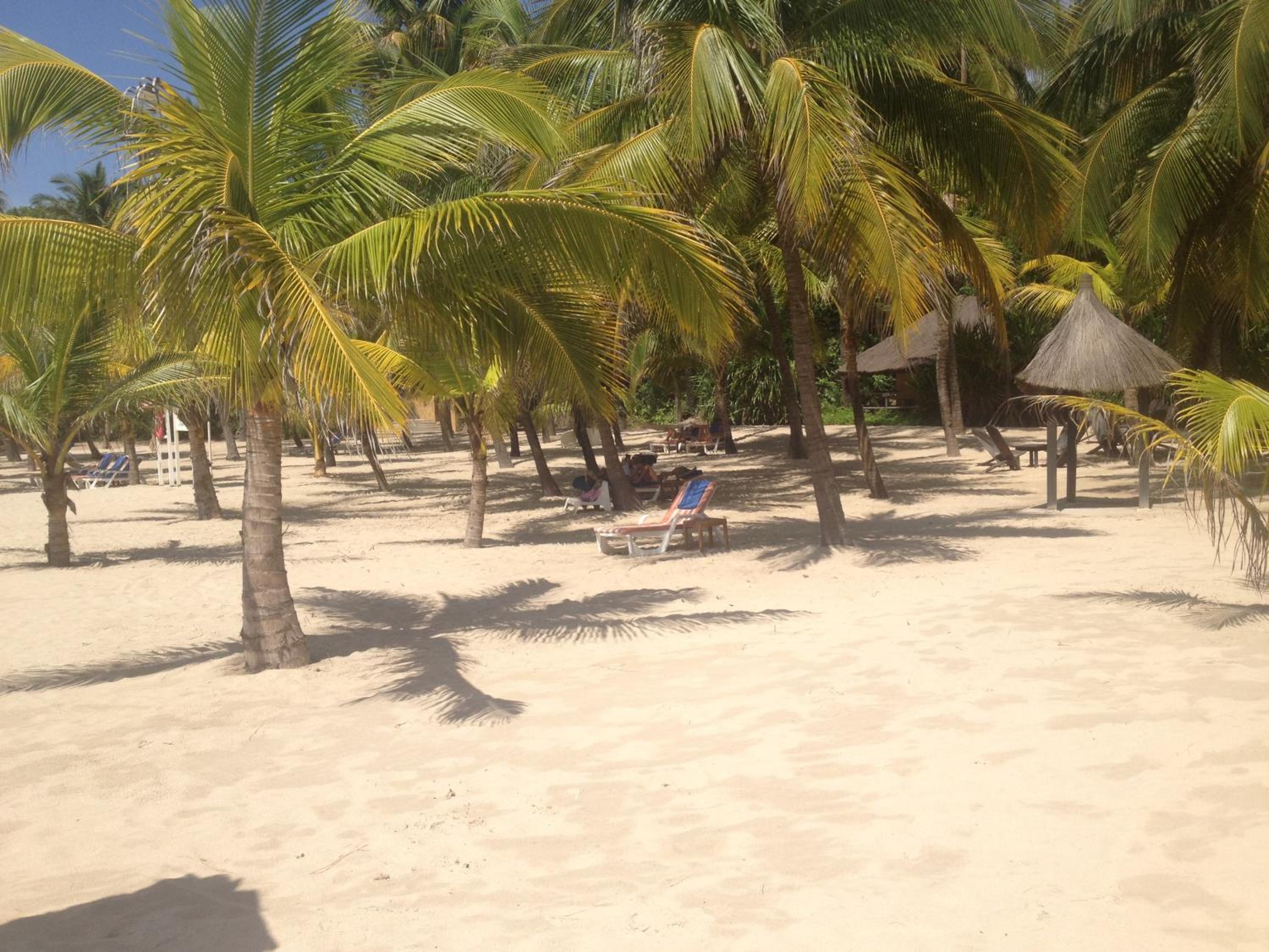 Photo 41