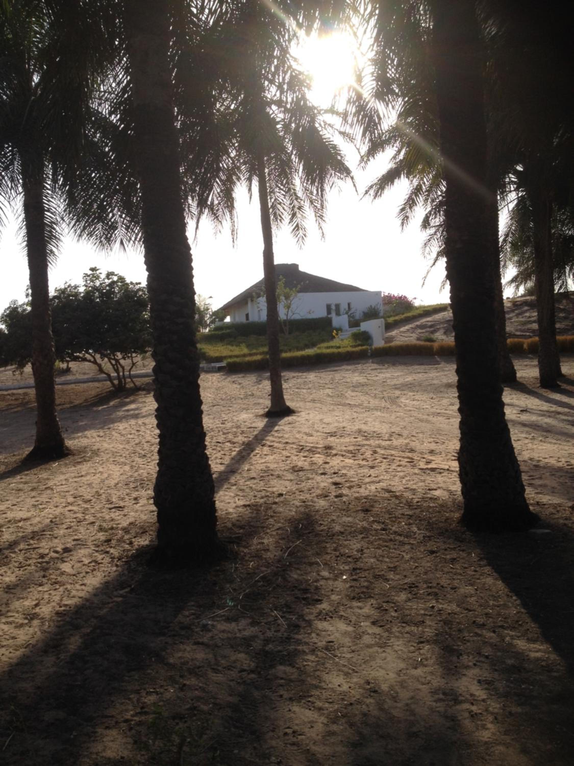 Photo 36