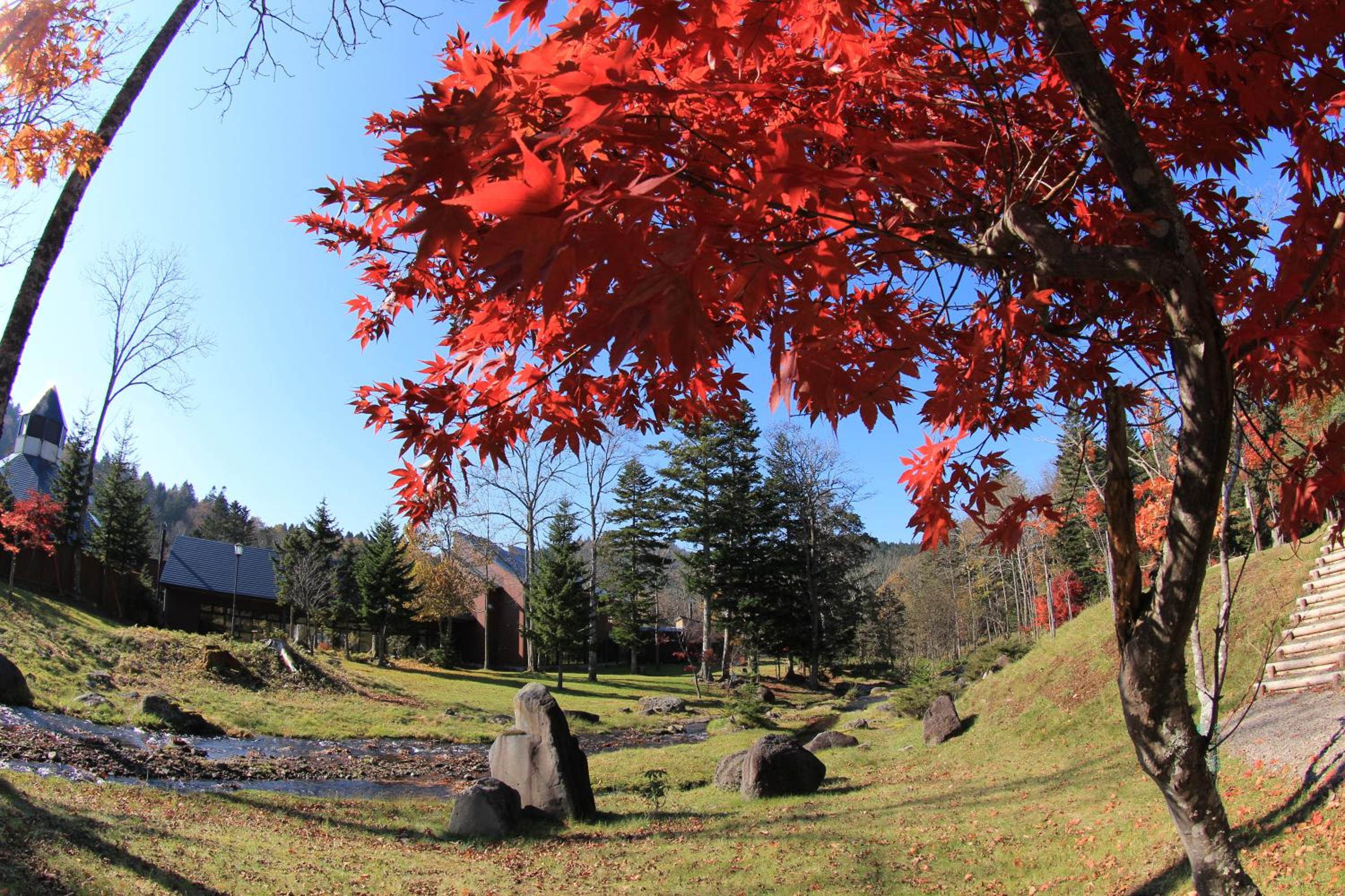 Moritsubetsu