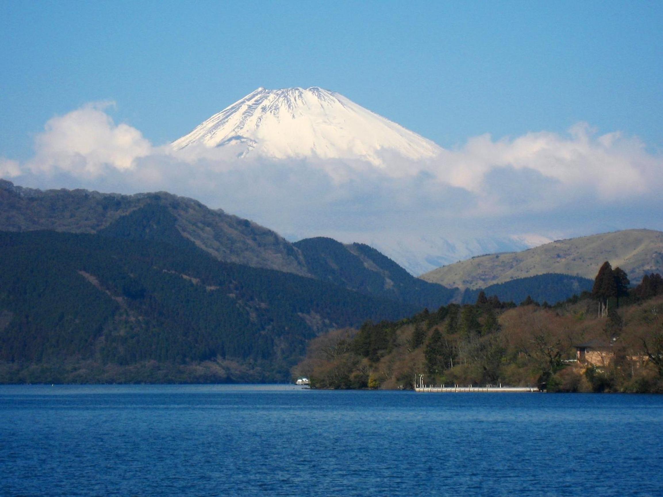 Yamagaso