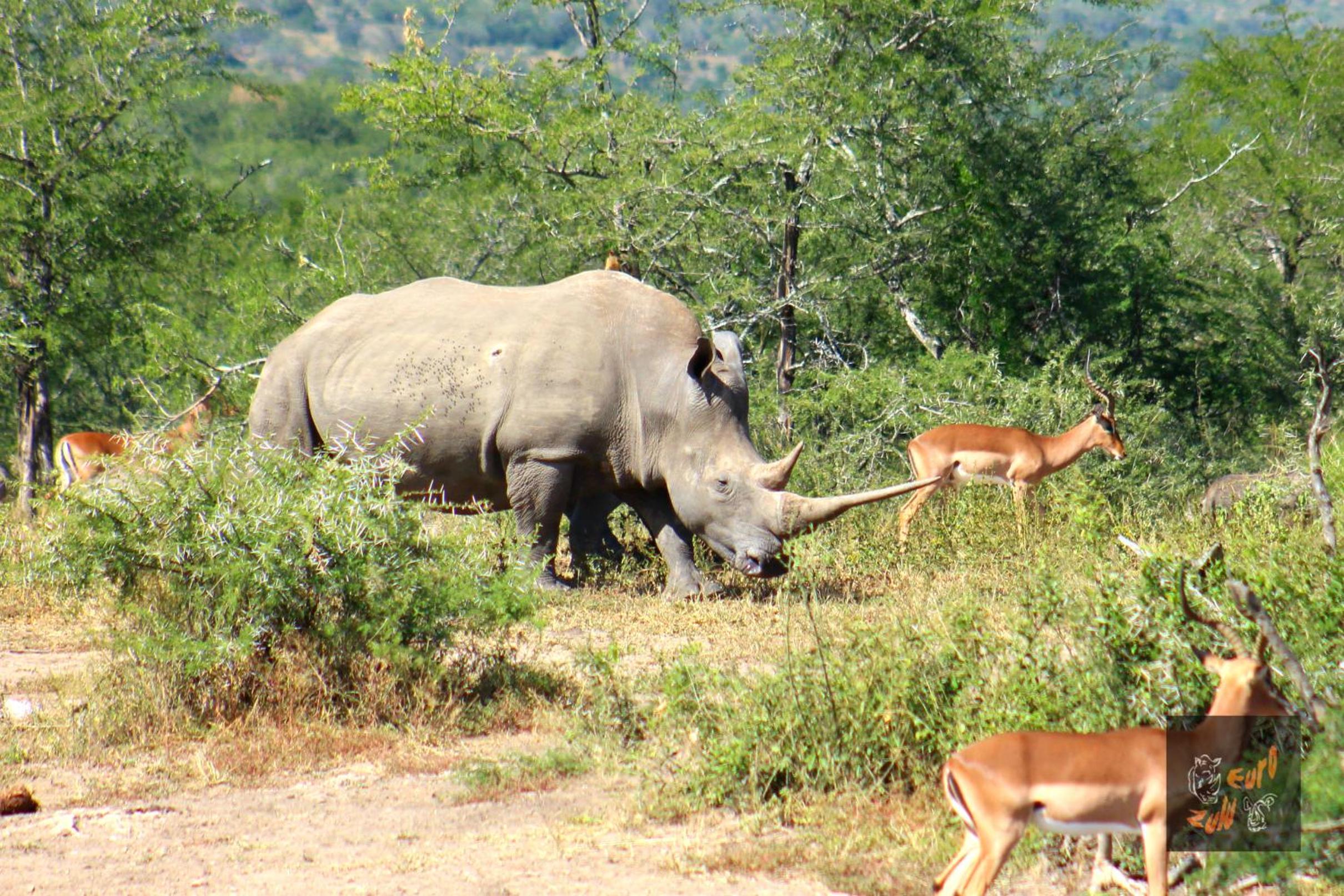 Lodge Afrique