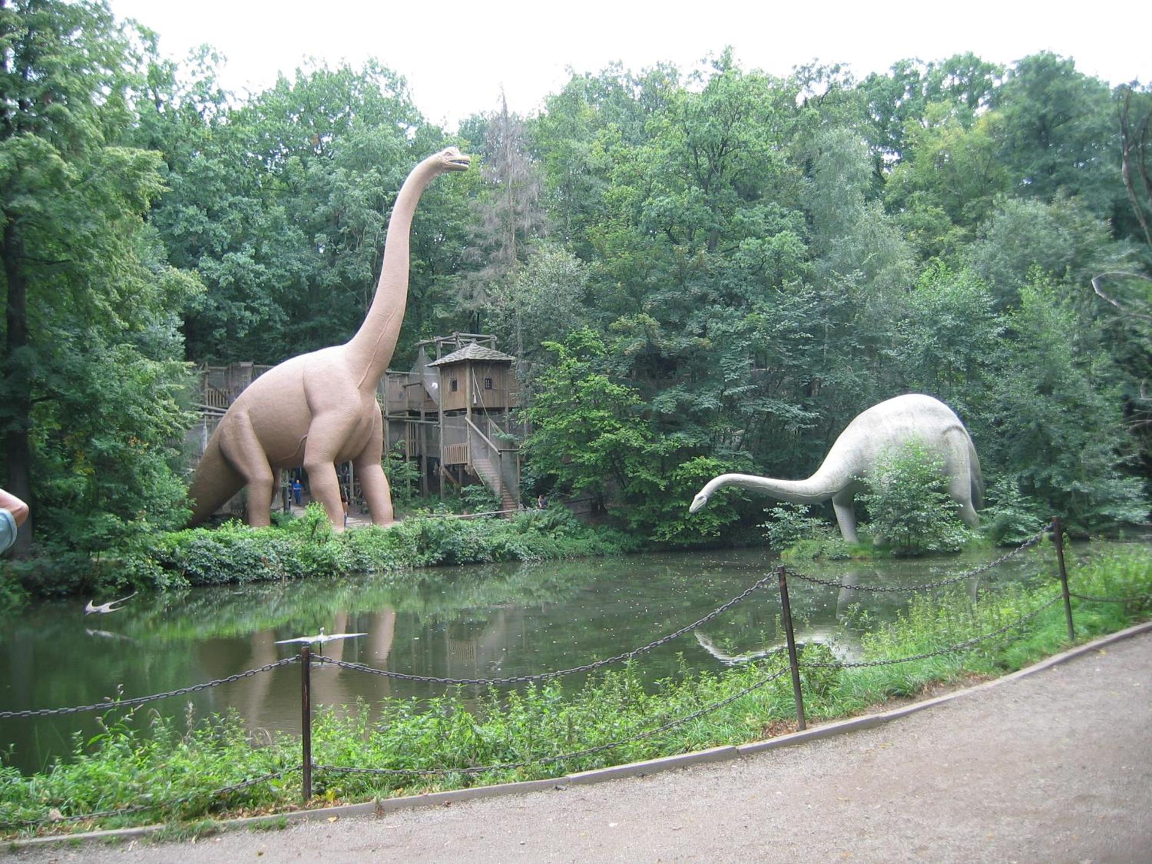 Dresden Vacations - Gartenhaus Klotzsche - Property Image 36