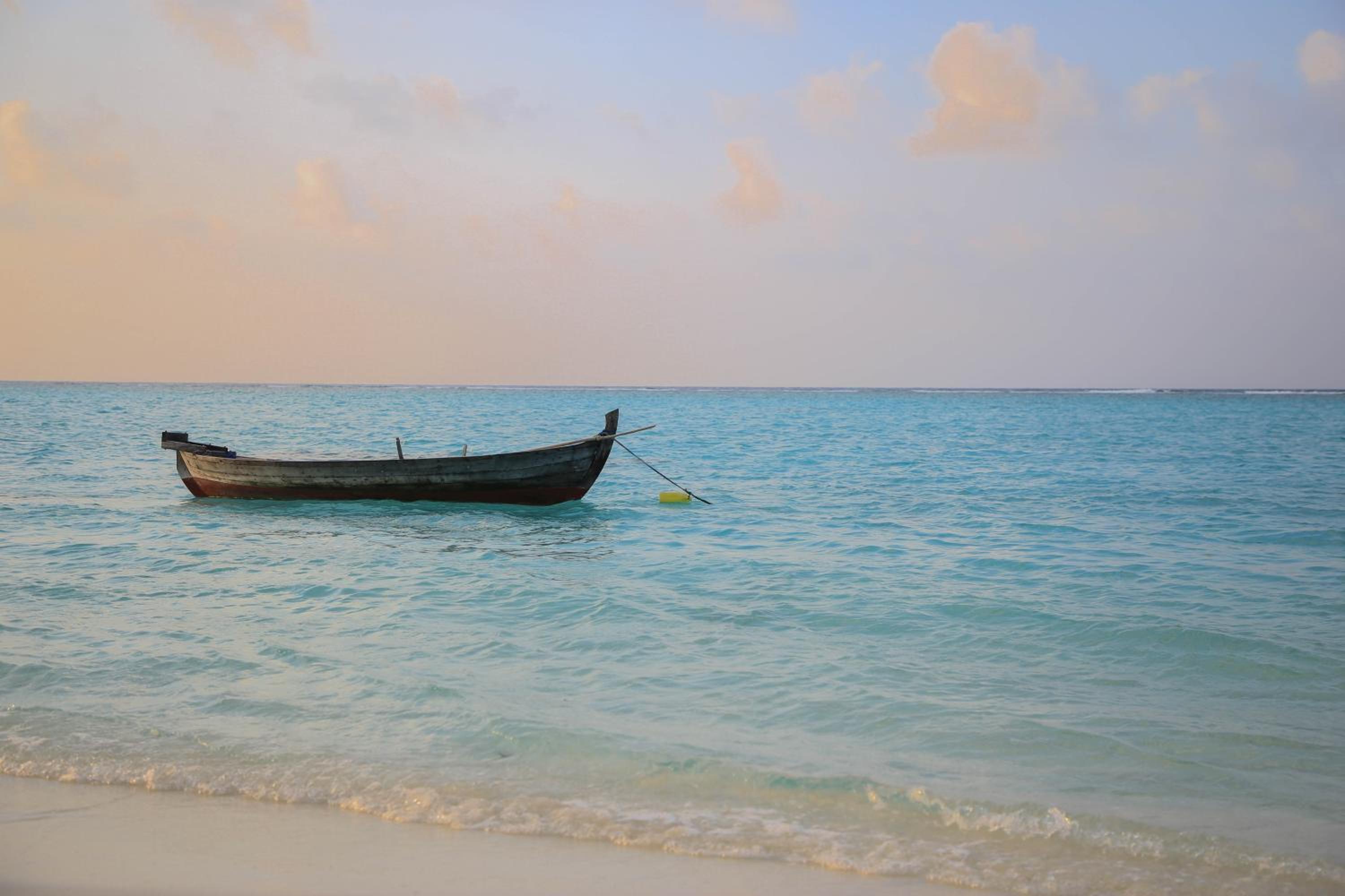Evila Inn - Thoddoo