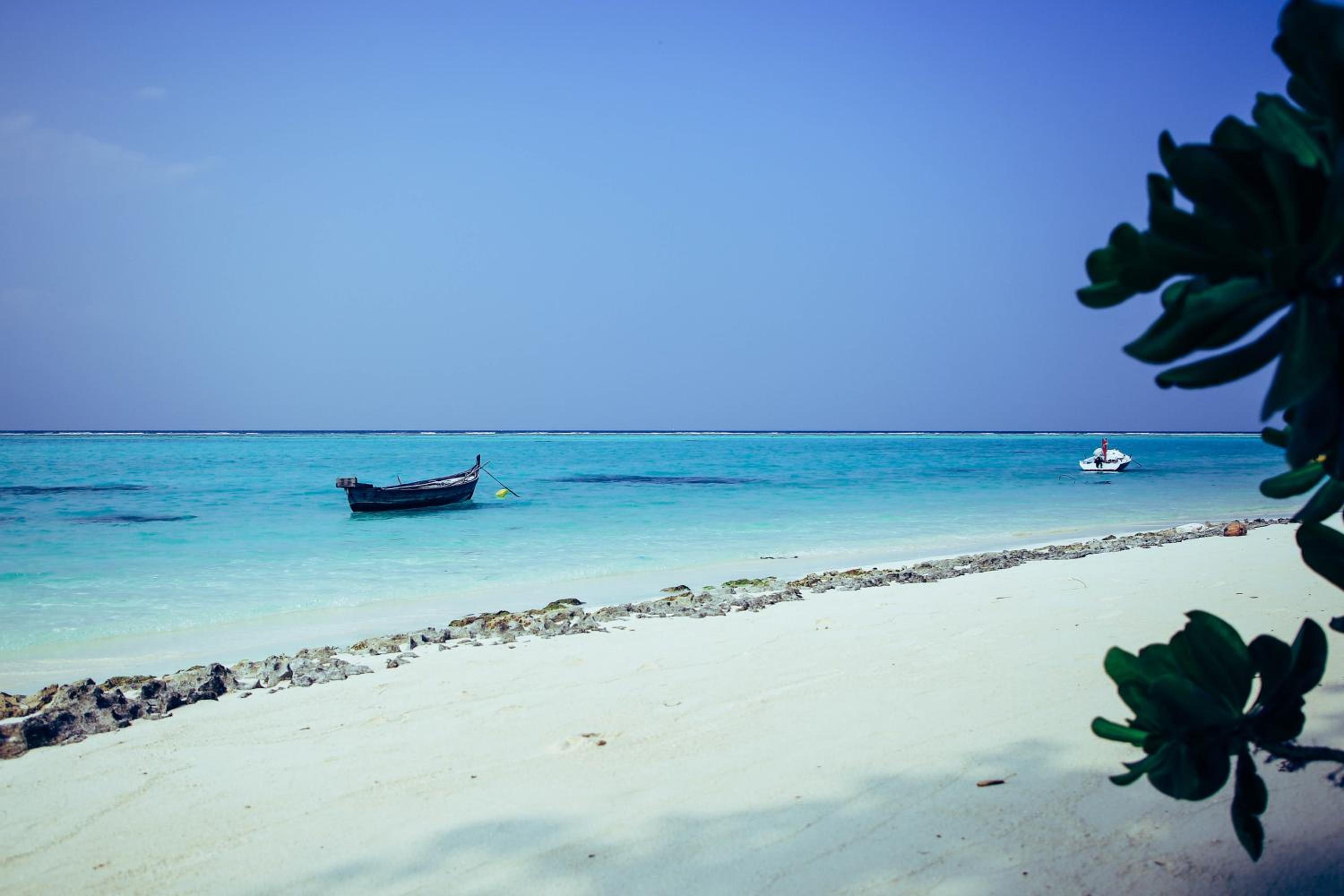 Evila Inn - Thoddoo