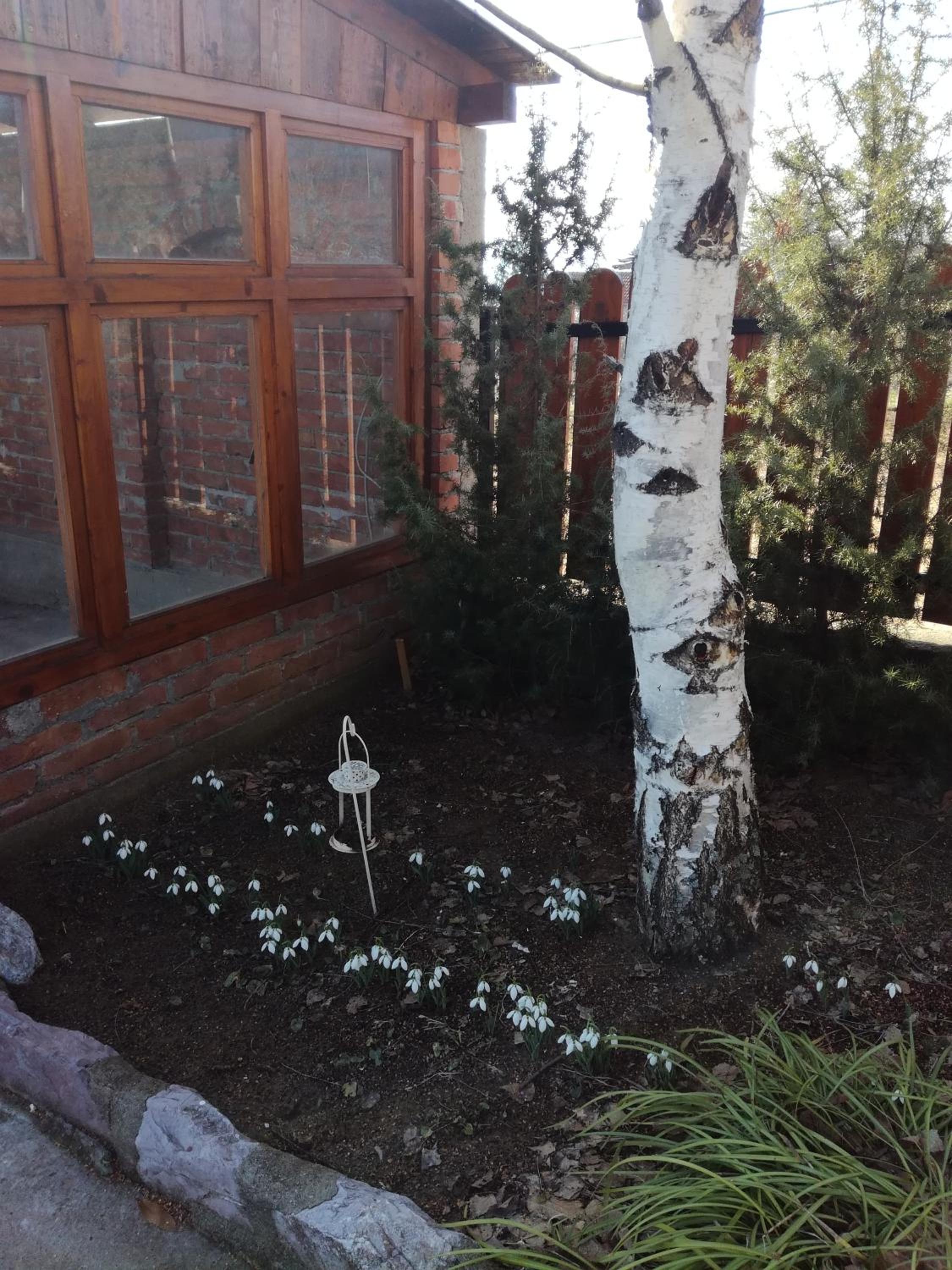 Photo 46