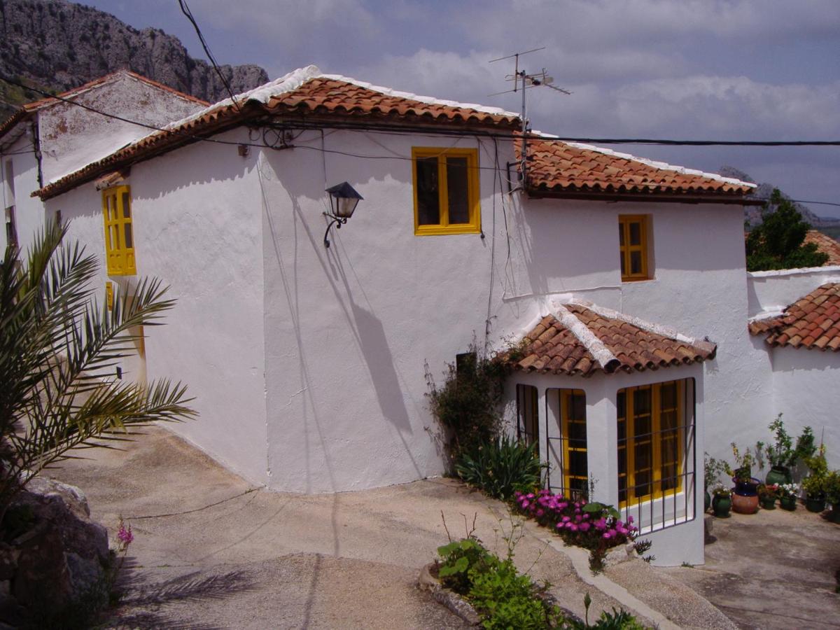 Puerta Verde photo 2