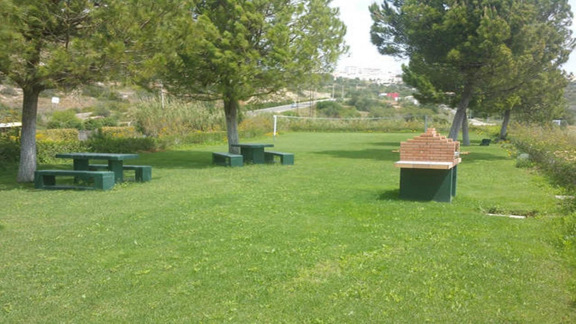 Photo 45