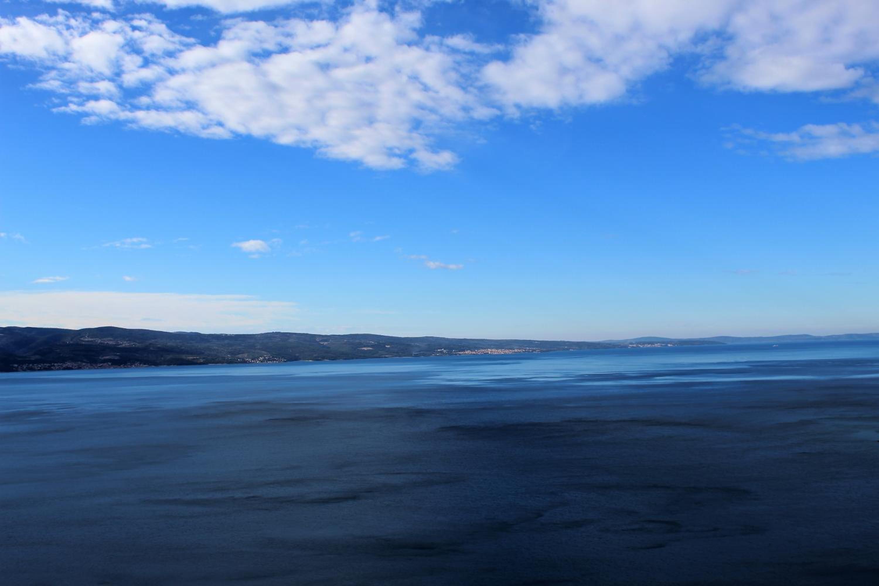 Dalia view 3