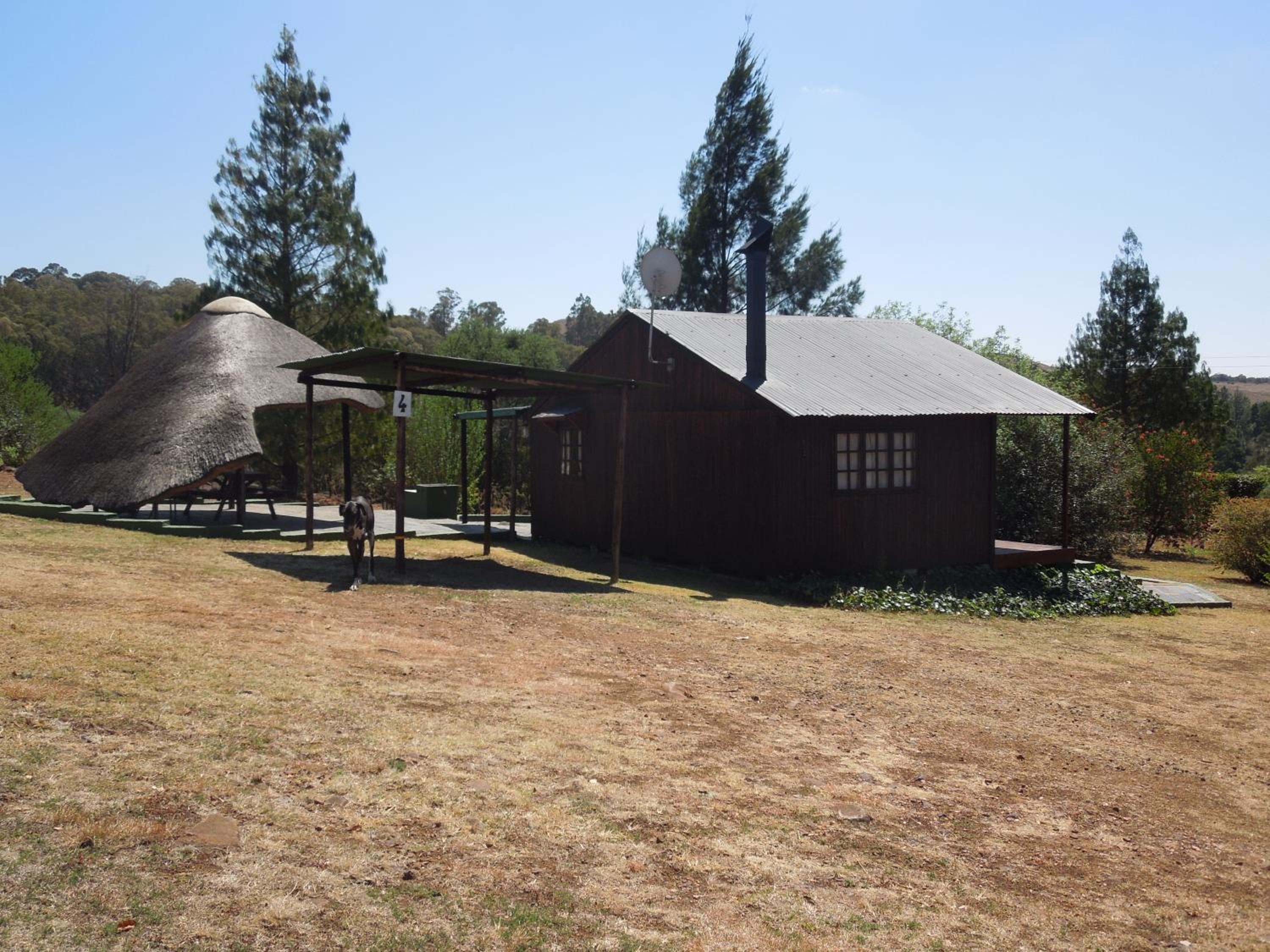 Photo 45