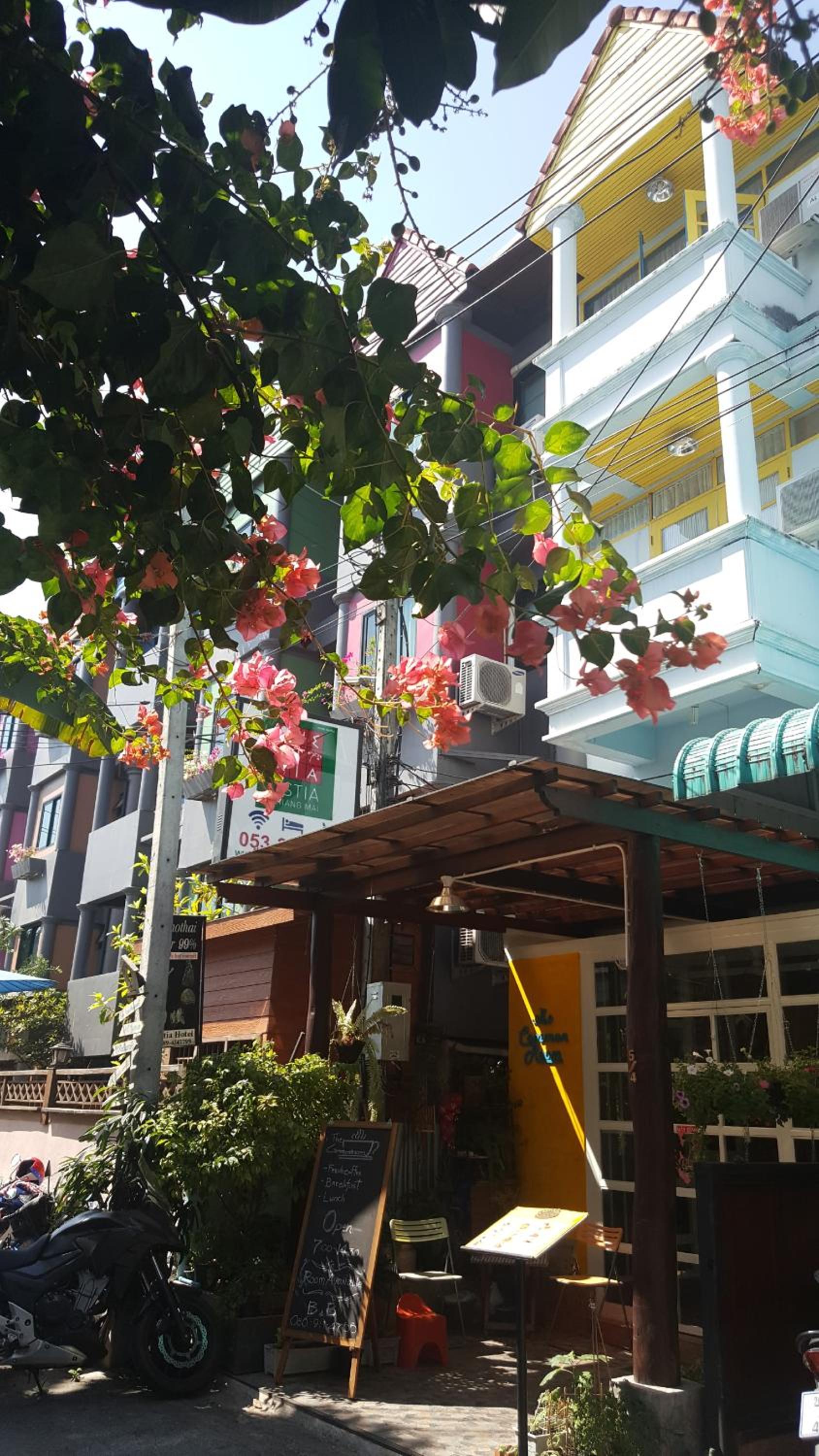 The Commonroom CNX