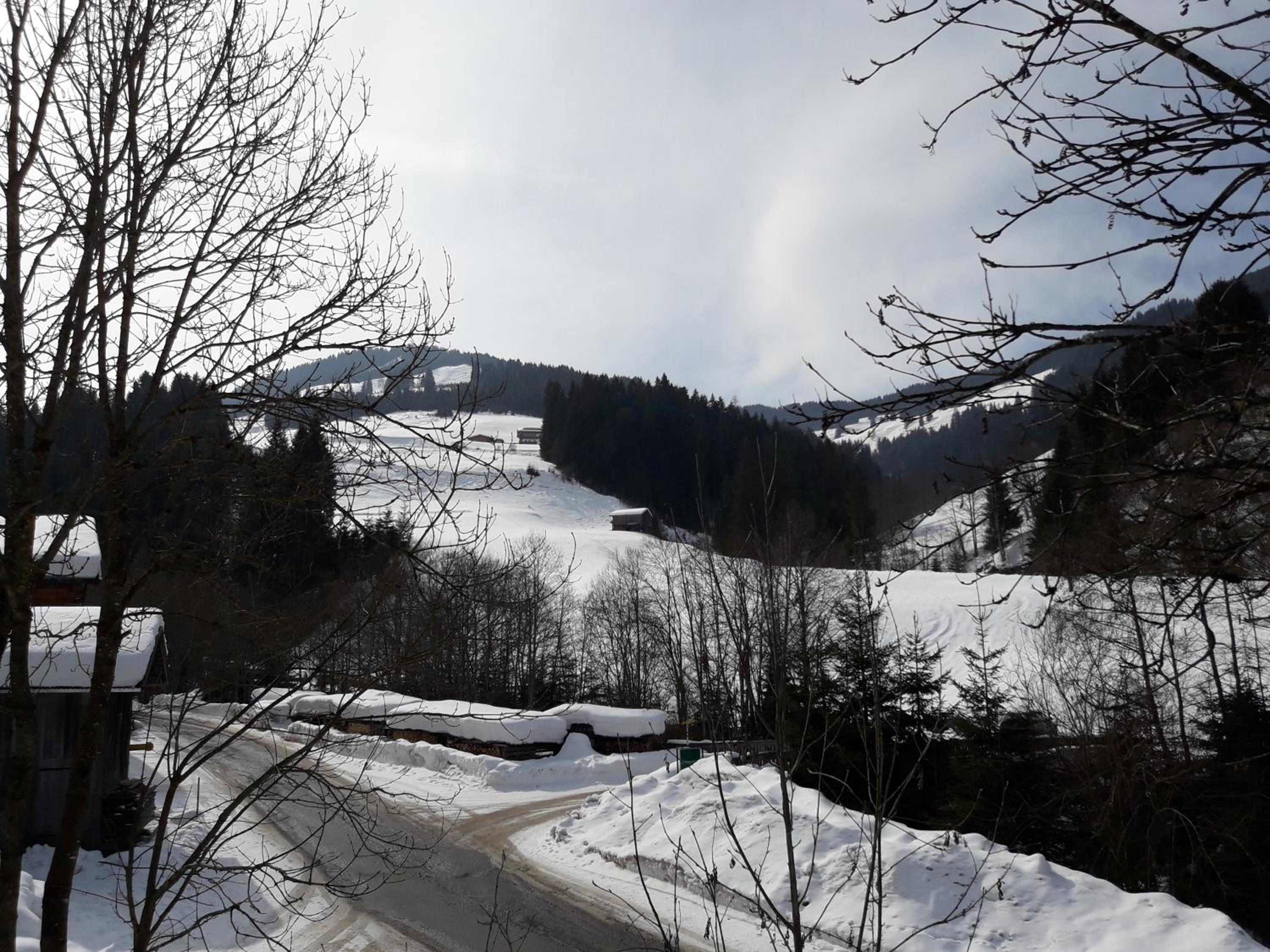 Hinterschwarzenau