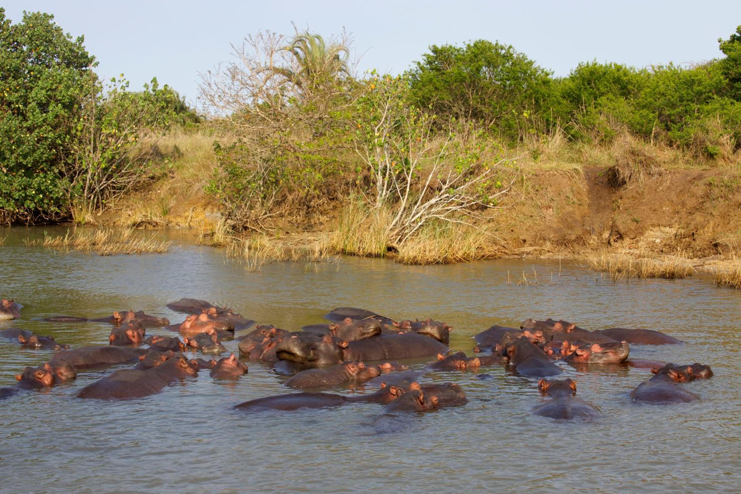 Lodge Afrique