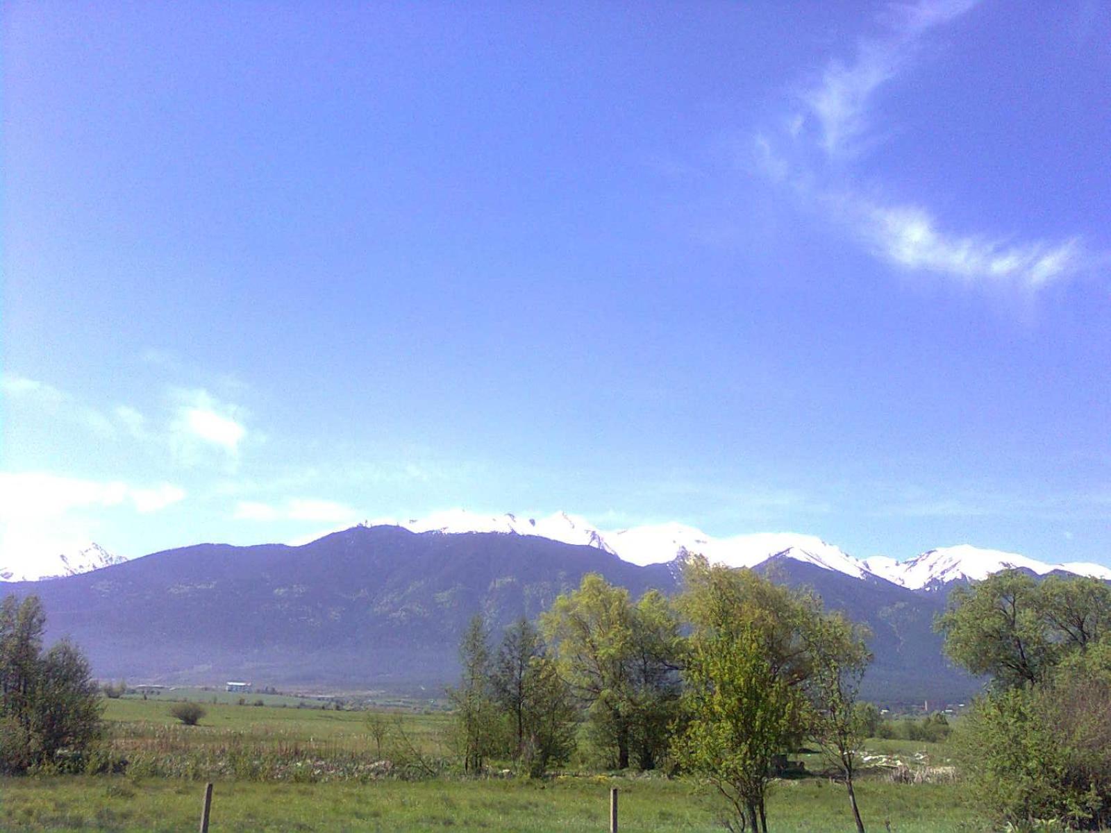 Photo 36