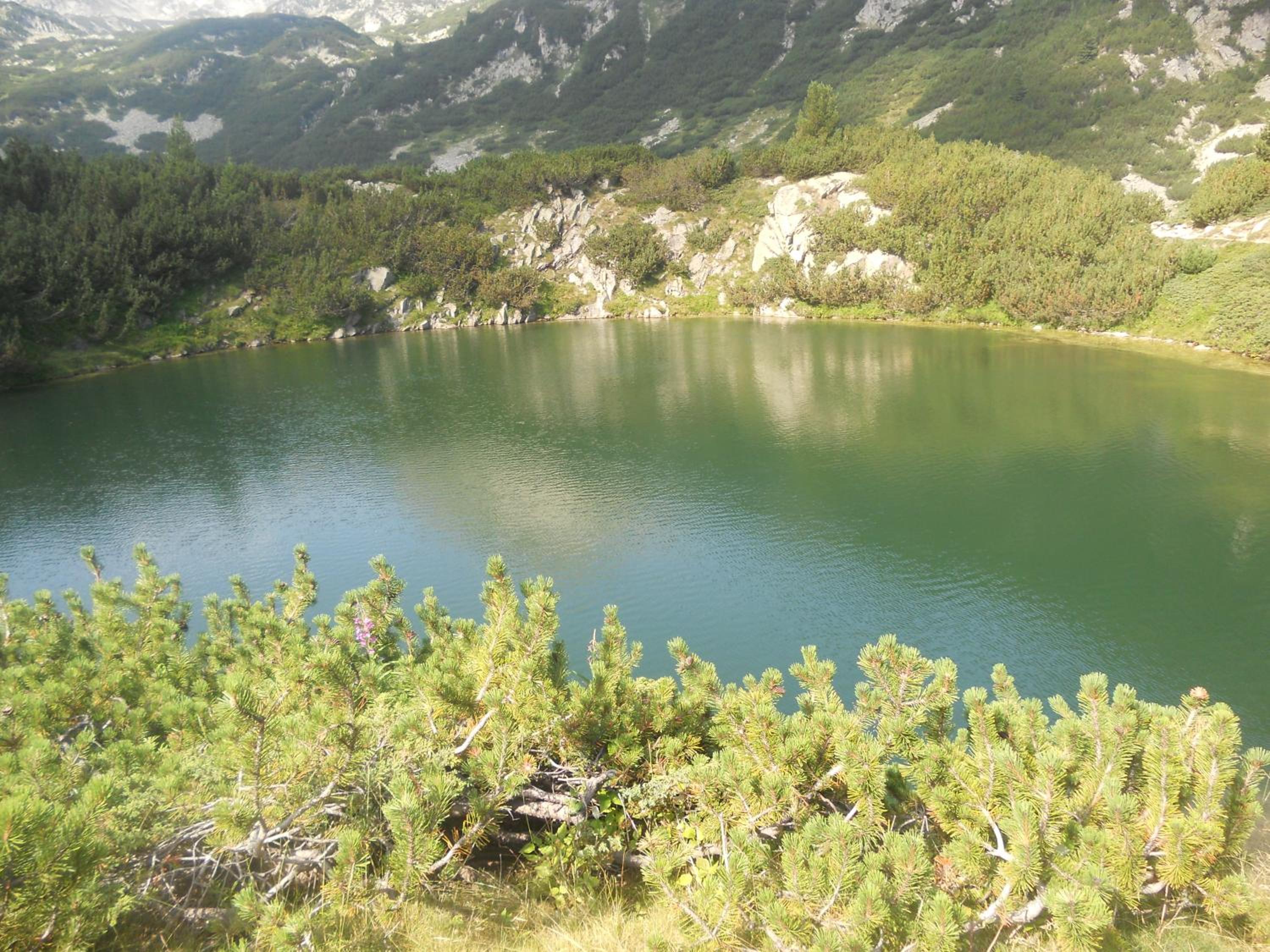 Photo 35