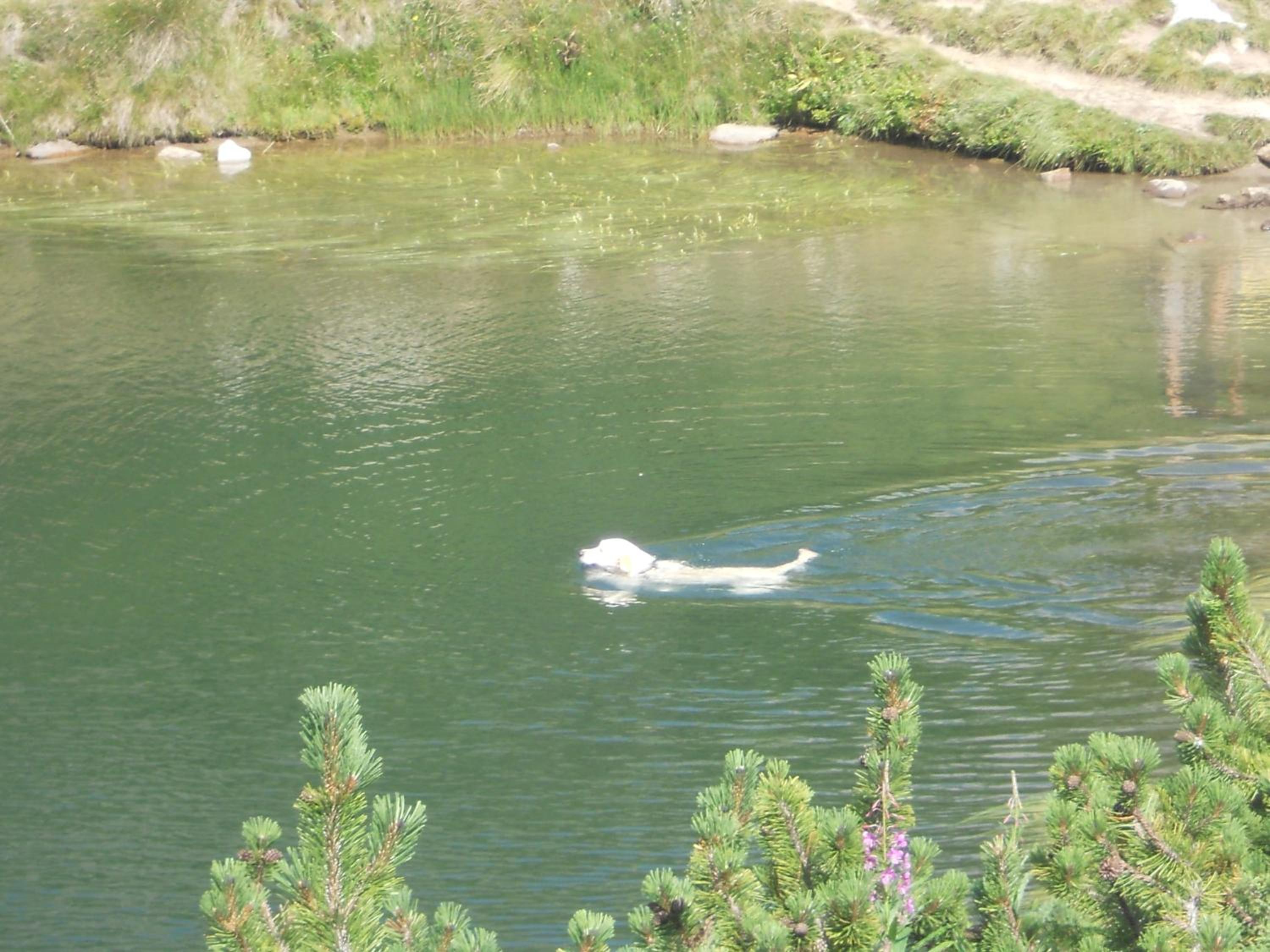 Photo 32