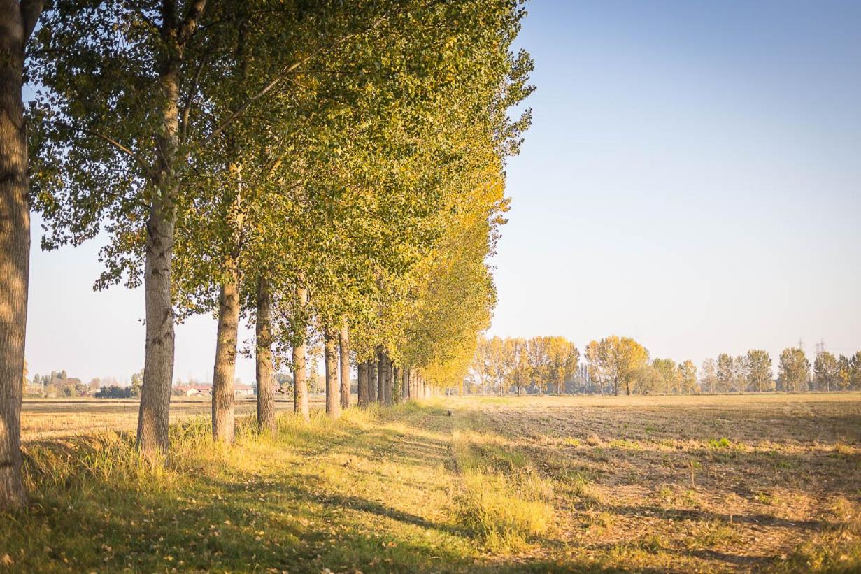 Cascina Gaggioli