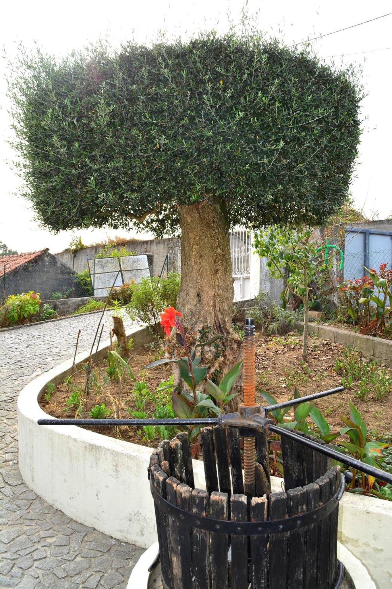 Photo 27