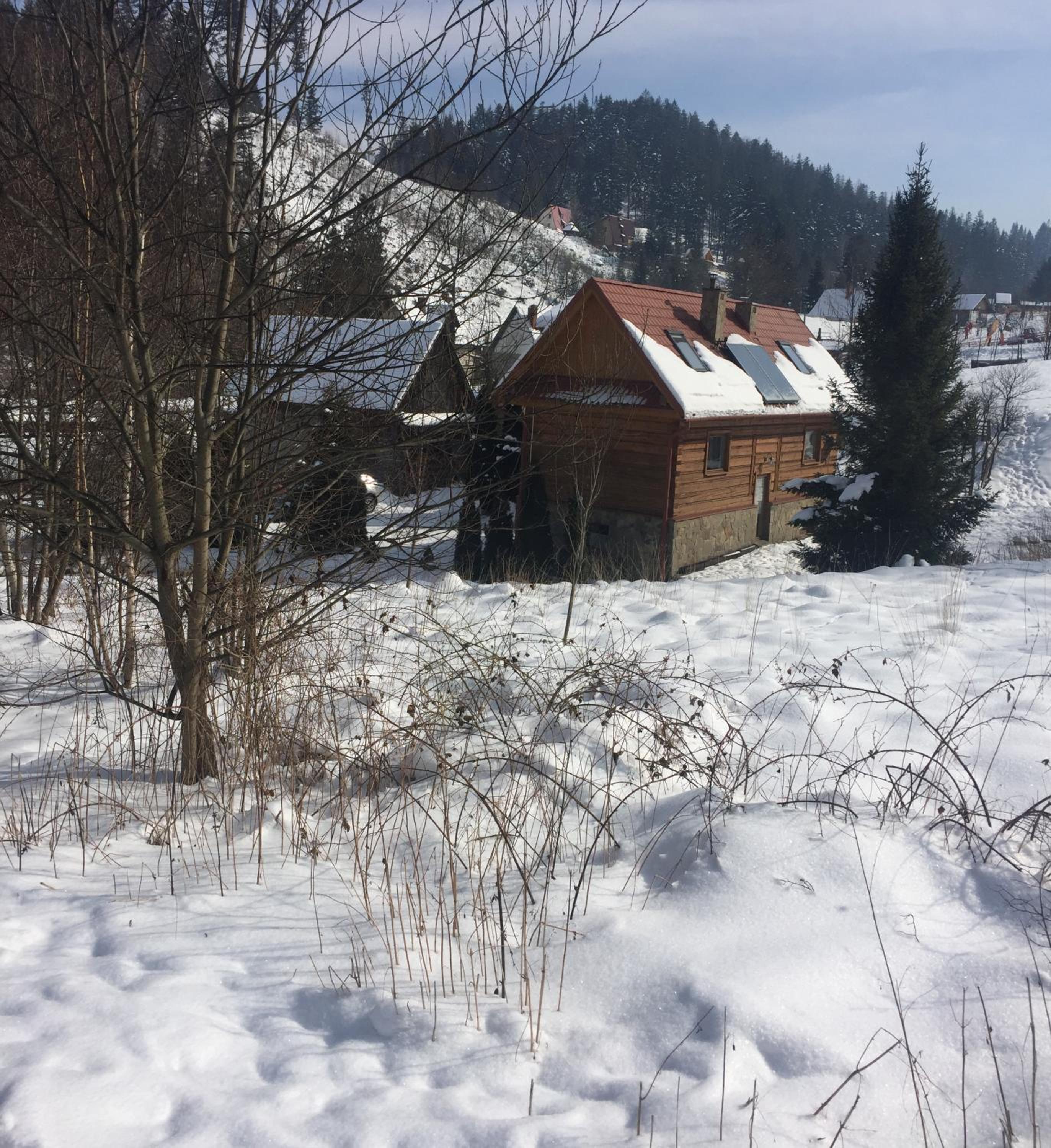 Photo 24