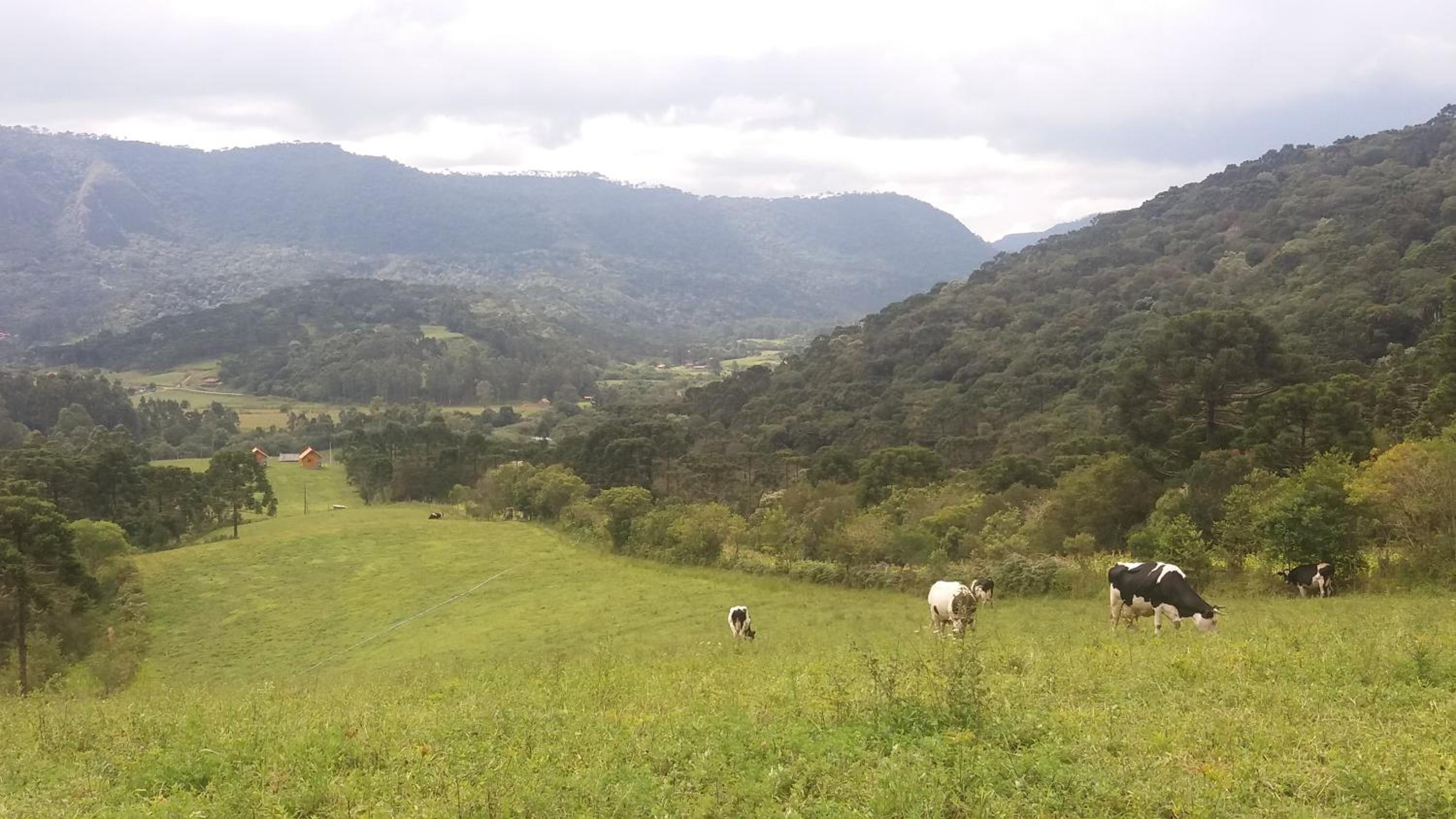 Chalés Vista Bonita