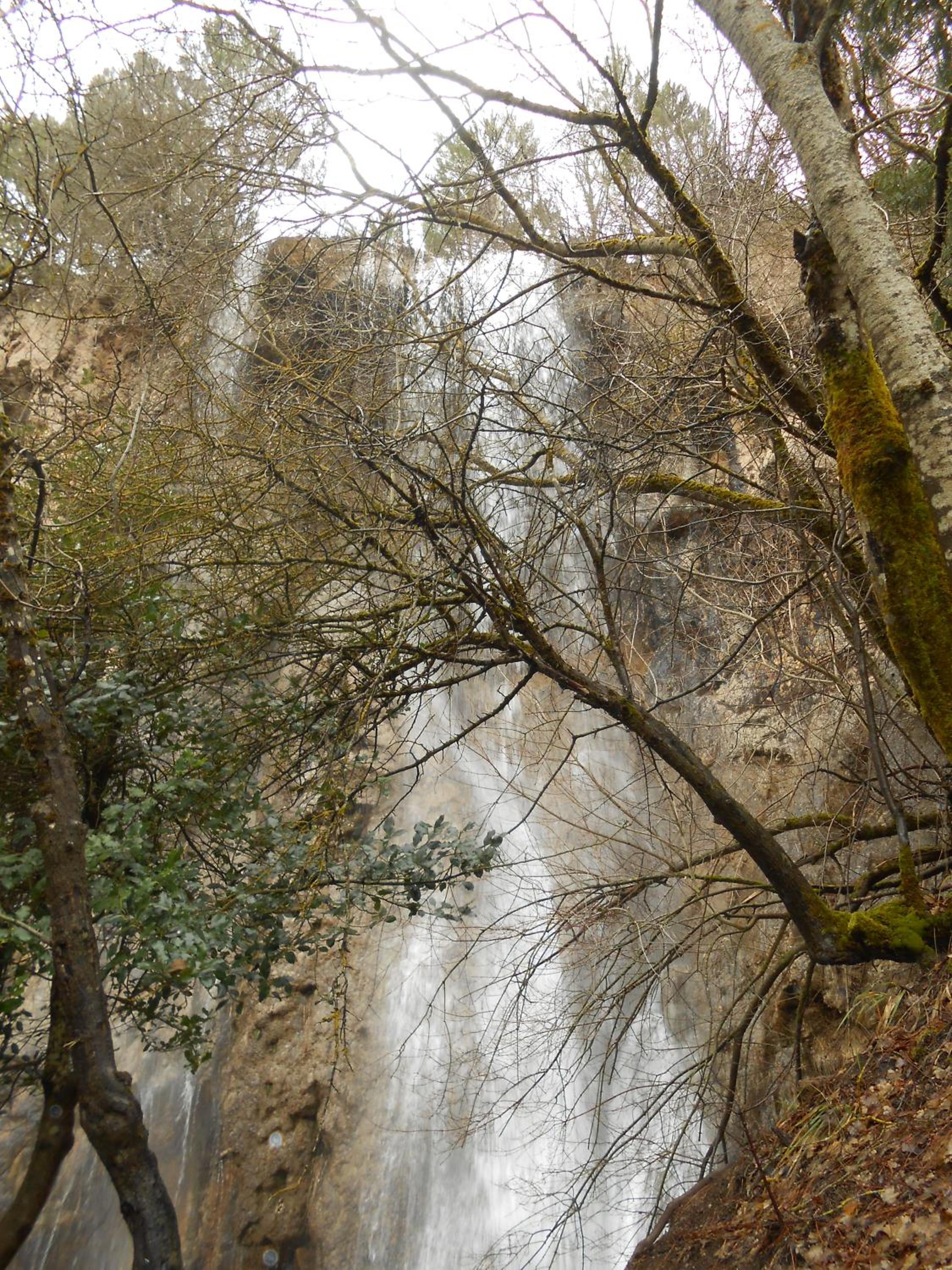 La María de Tortas view 4