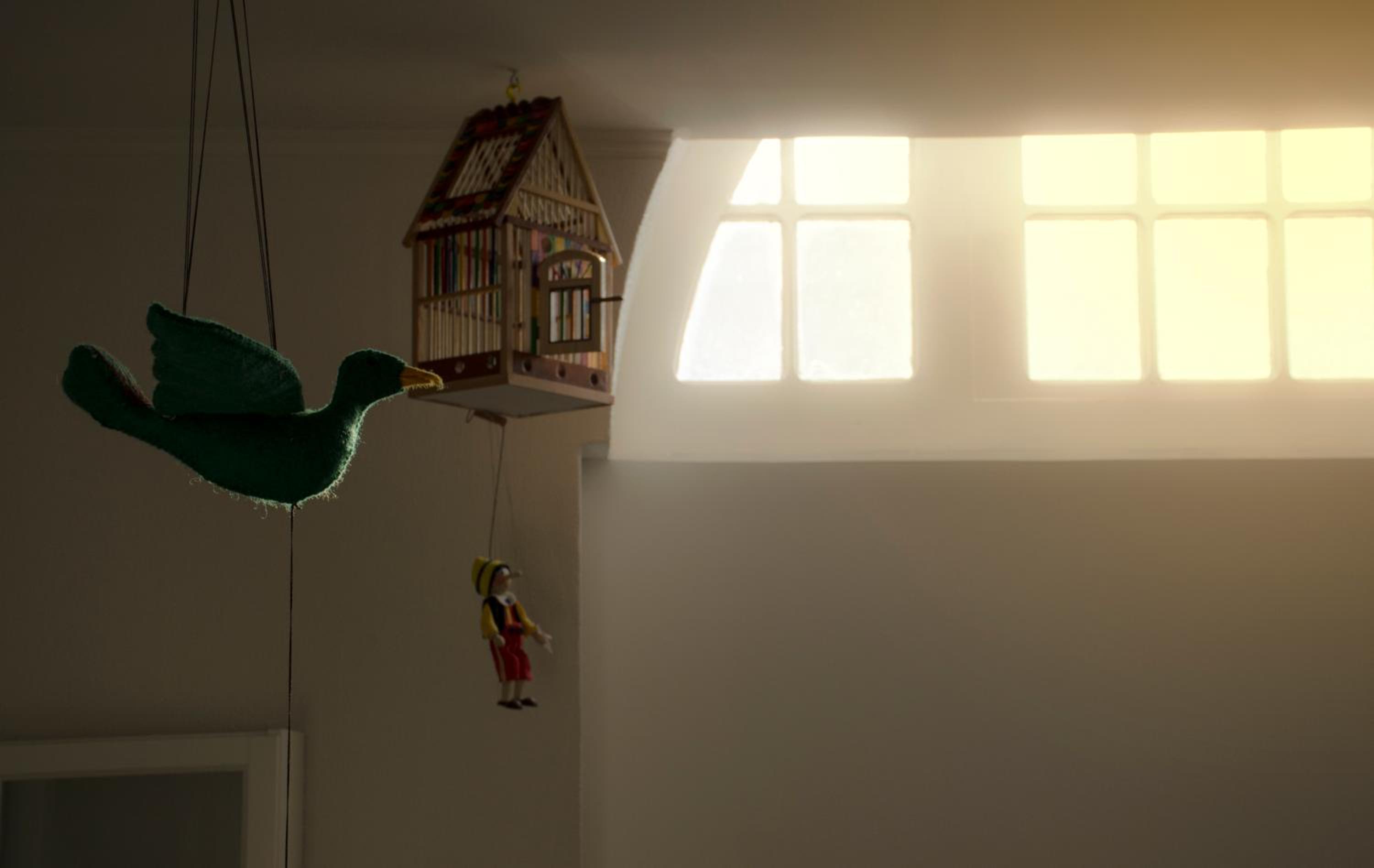 Photo 48