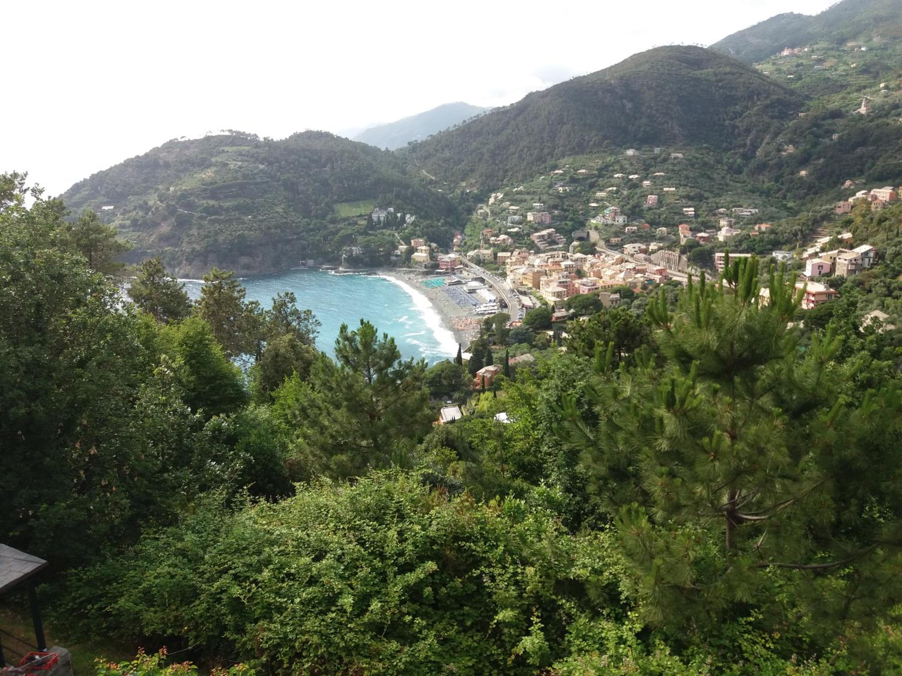 Photo 44
