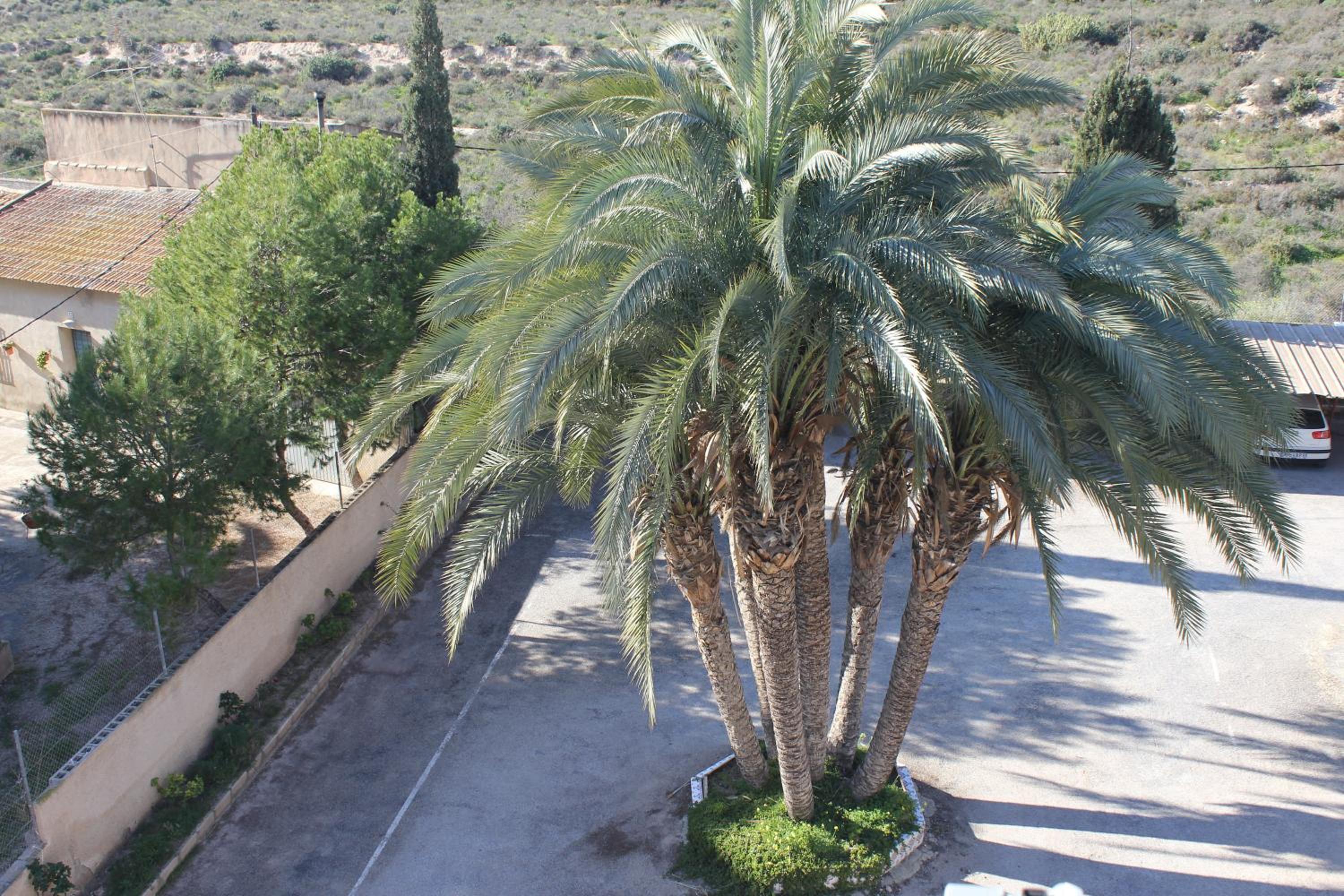 Photo 20