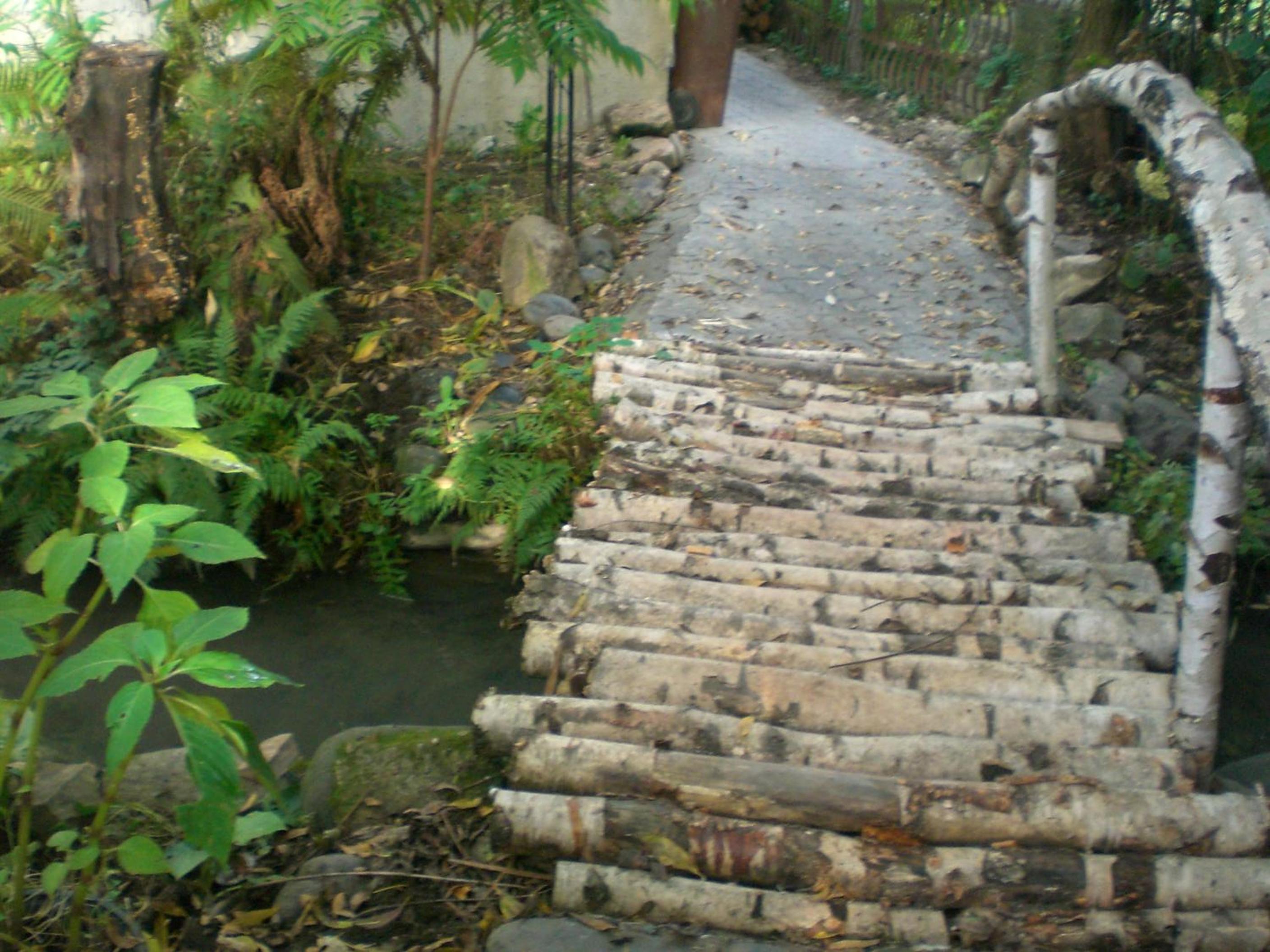 Photo 25