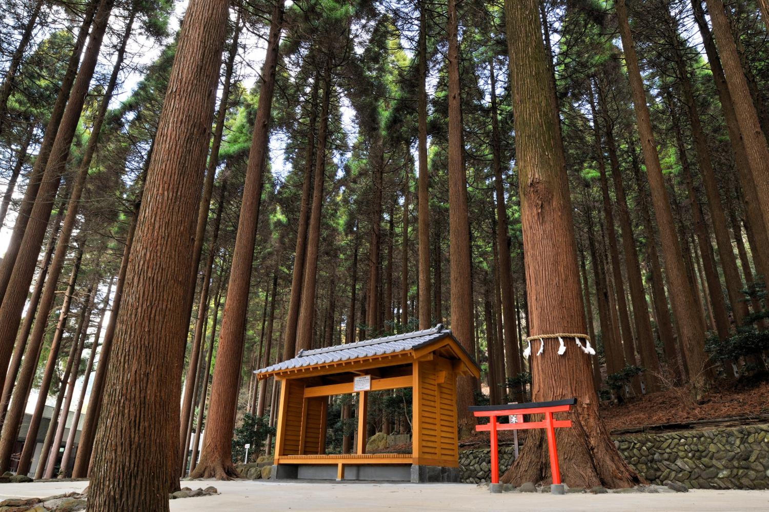 Kirishima Hotel
