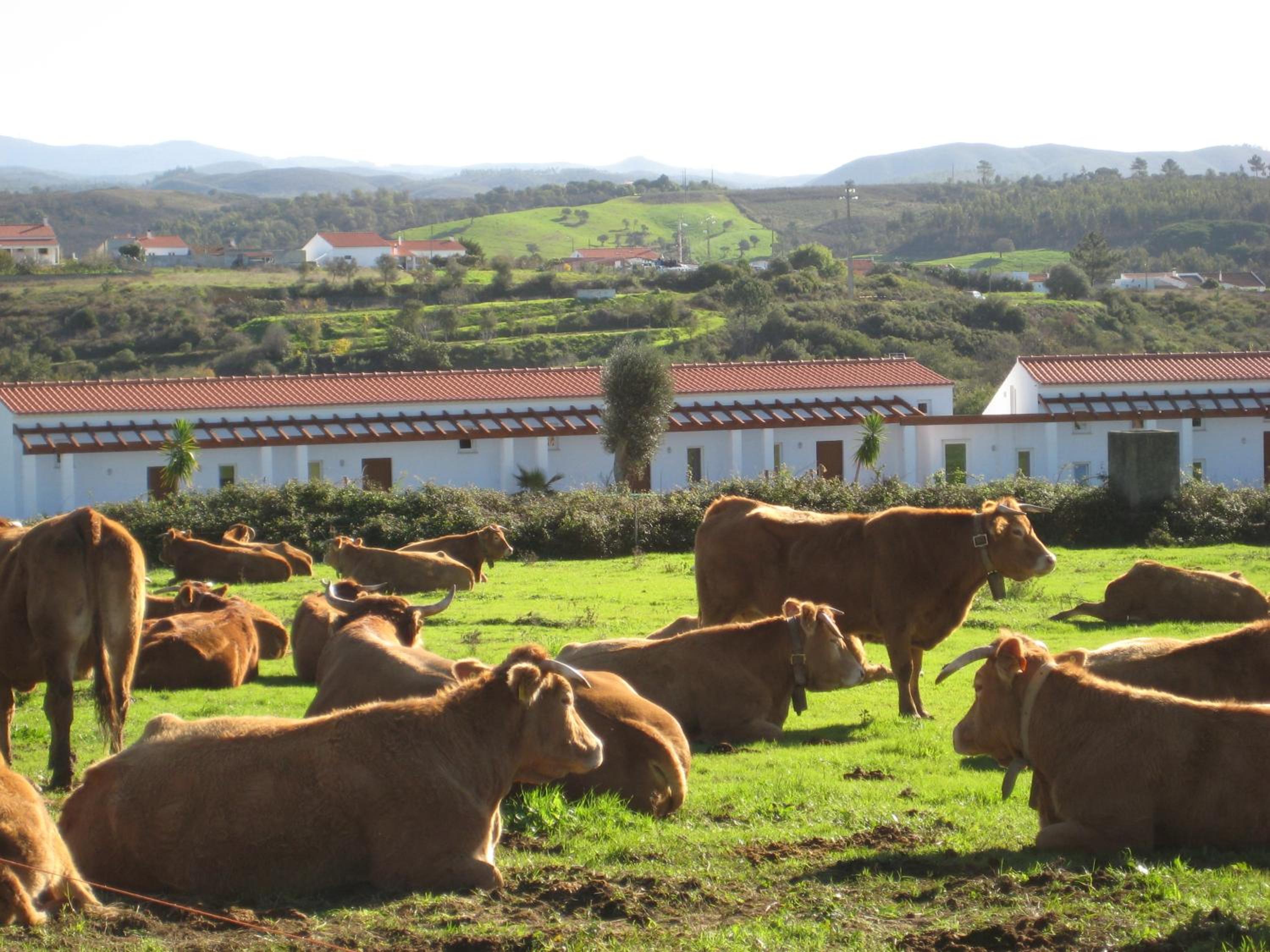 Quinta de Moledos
