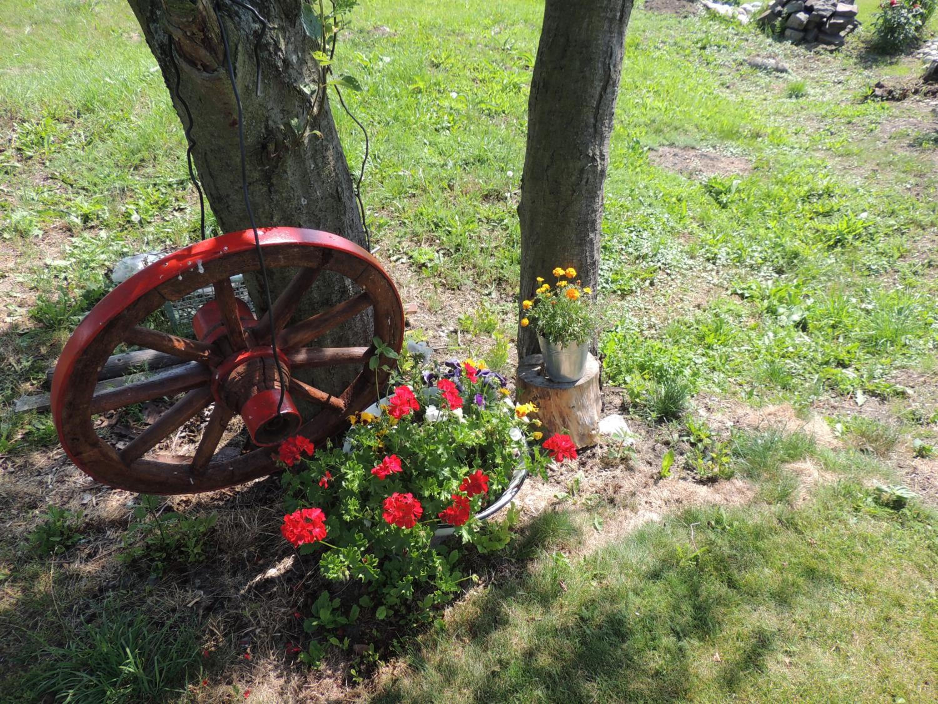 Photo 21