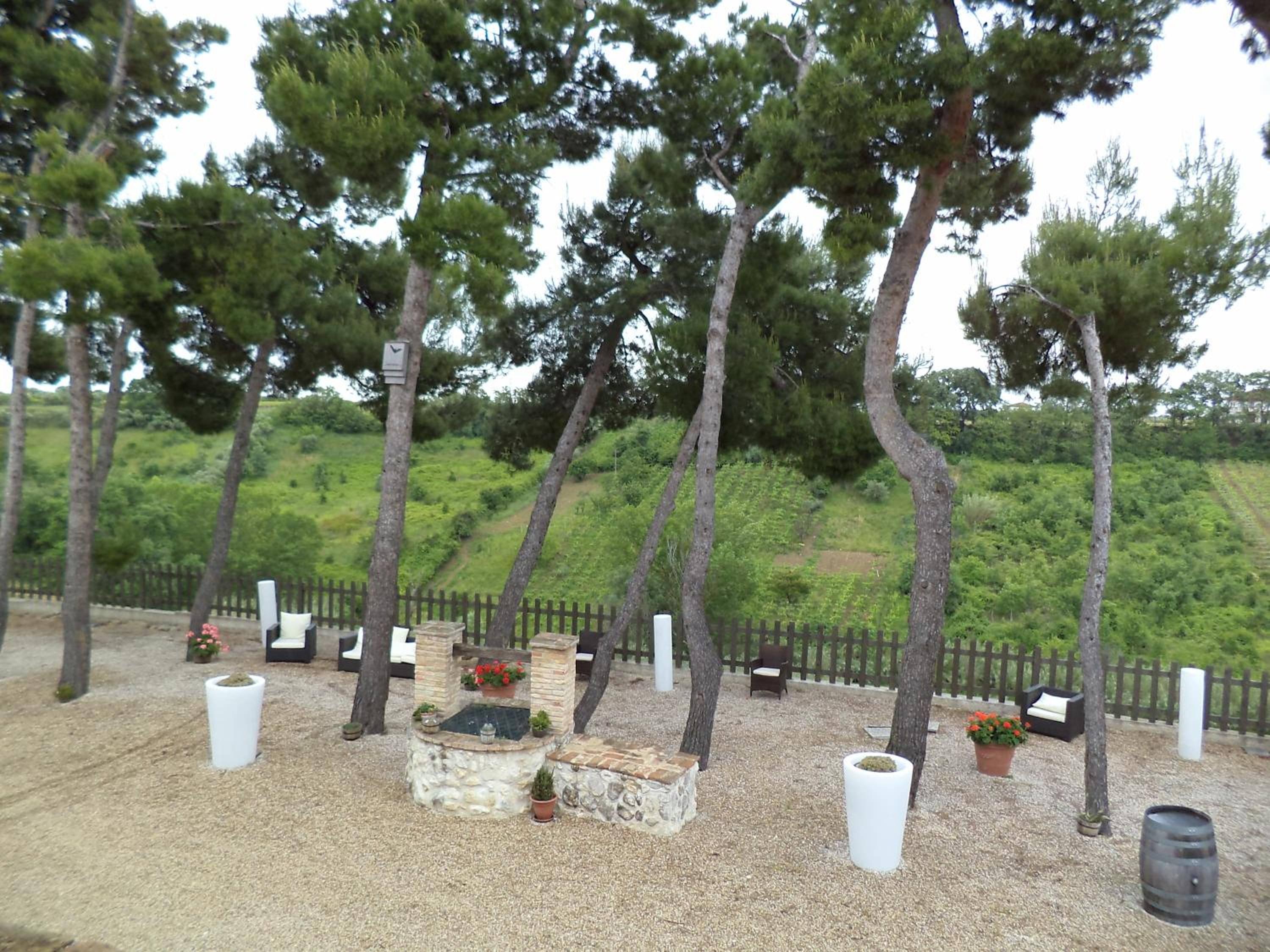 Photo 38