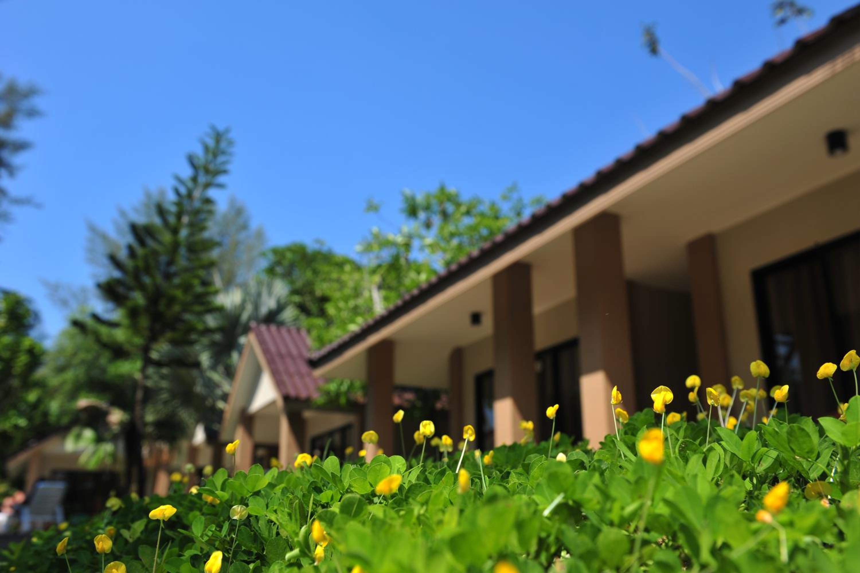 building