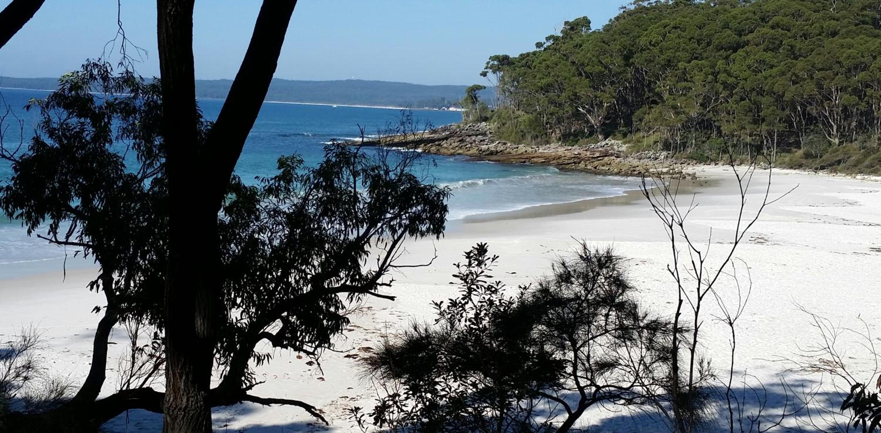 Jervis Bay Blue - Vincentia