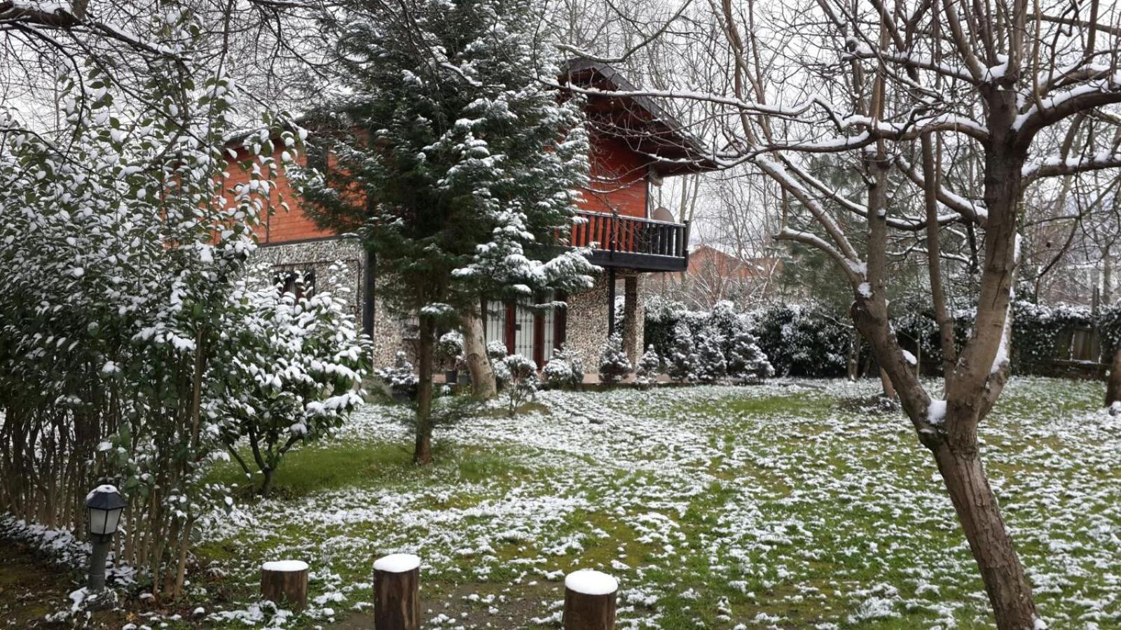 Photo 19