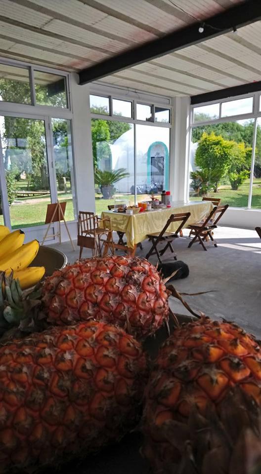 Cabañas Aguaflorida