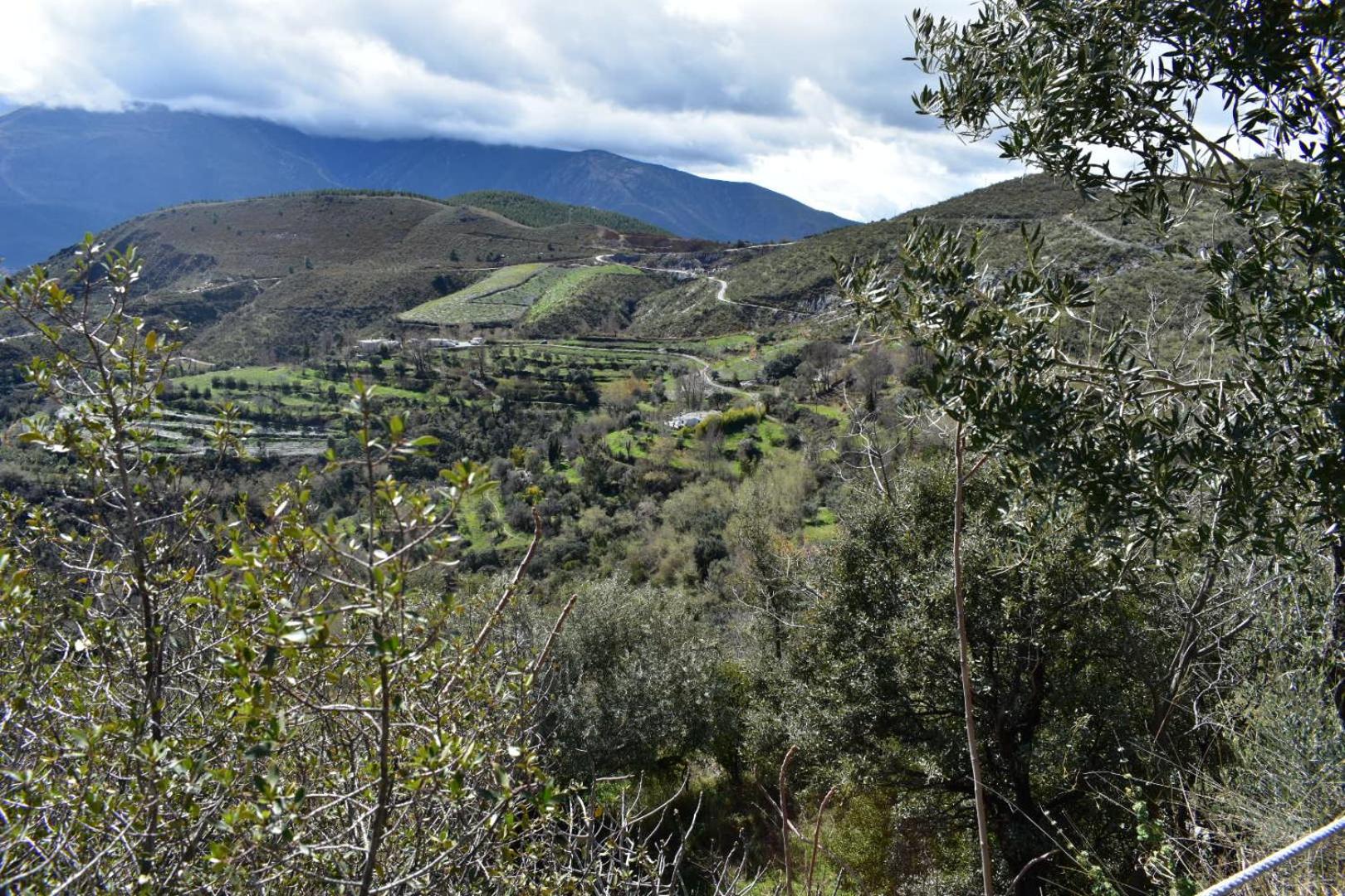 Dreams Alpujarra