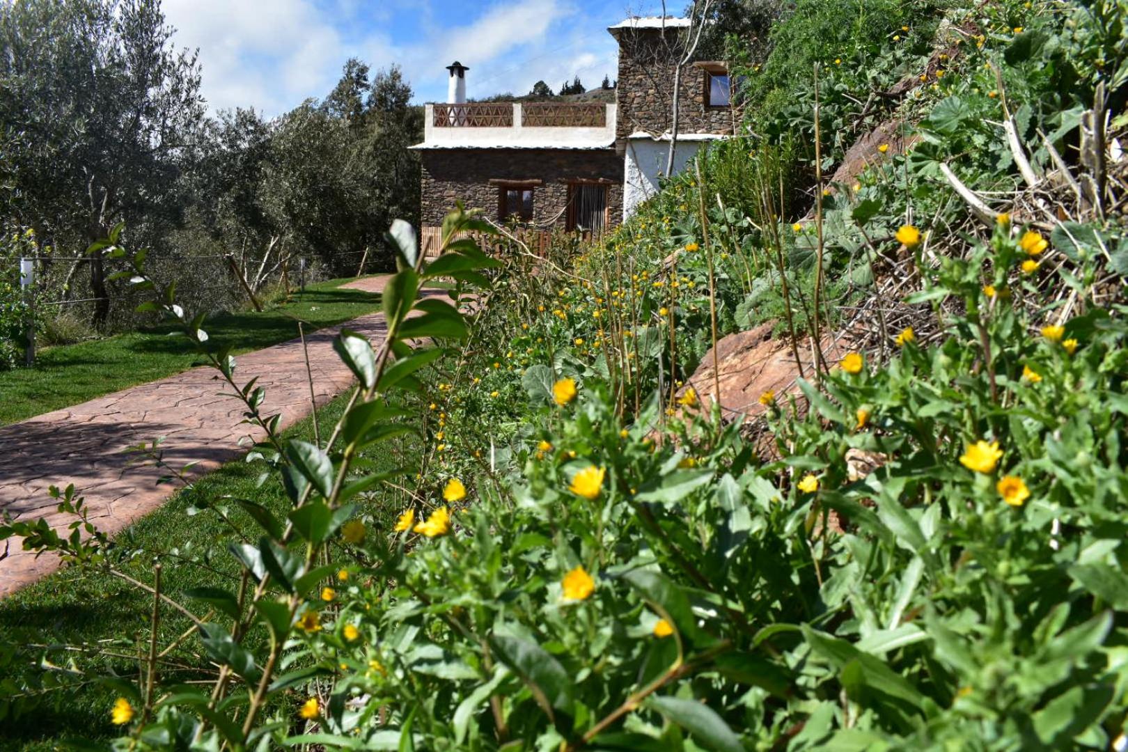 Dreams Alpujarra