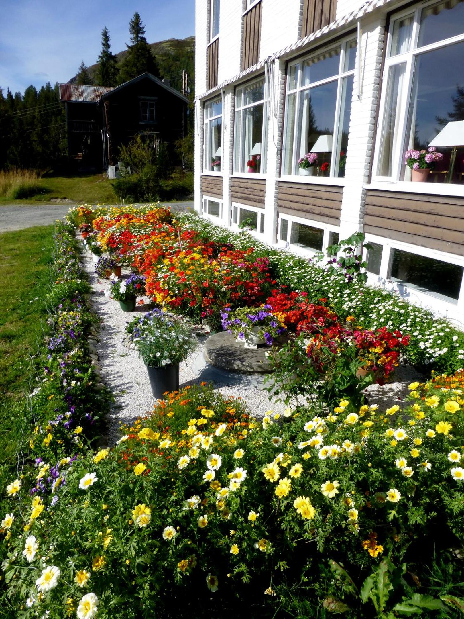 Tronsvangen Seter