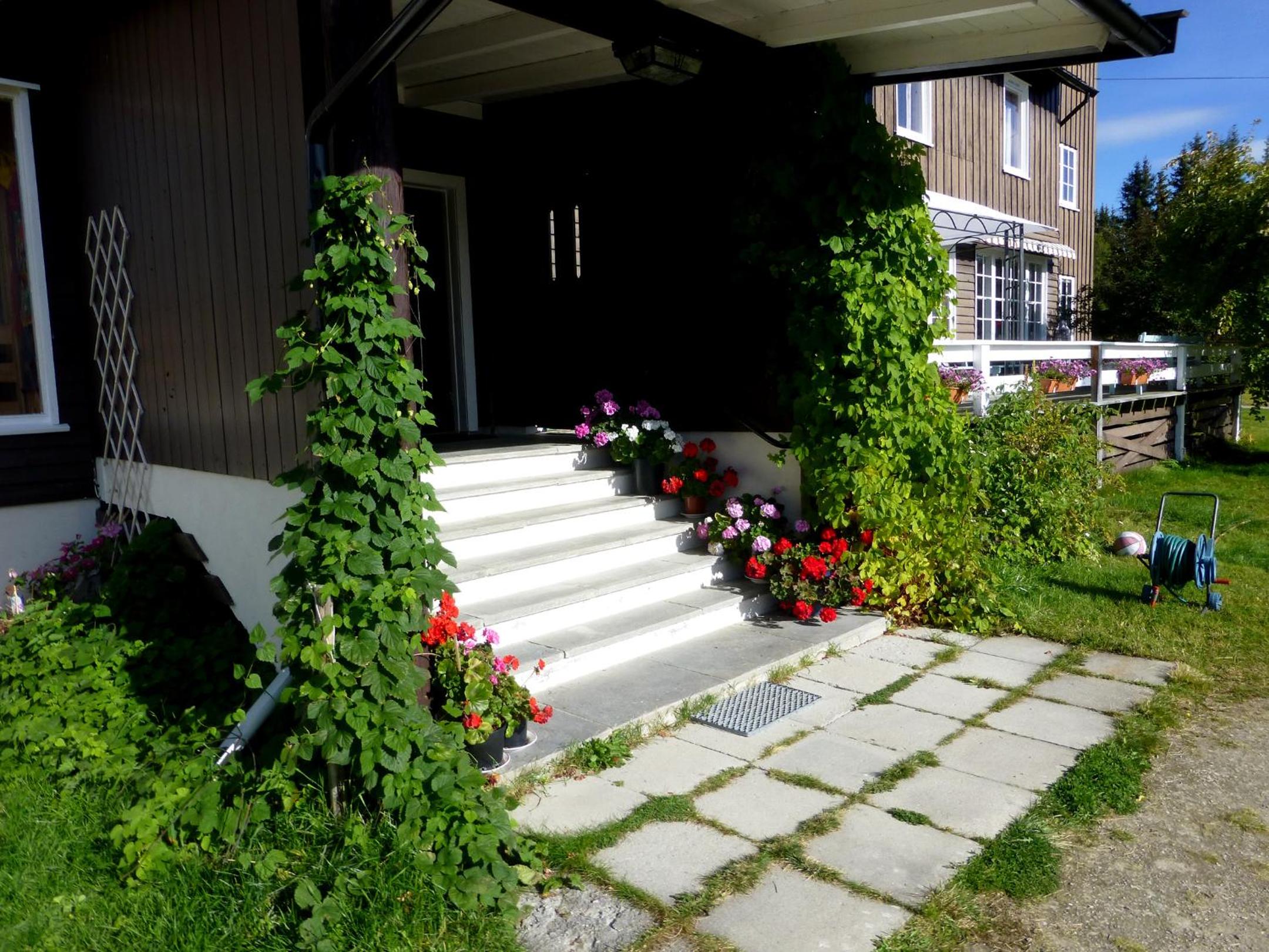 Tronsvangen Seter