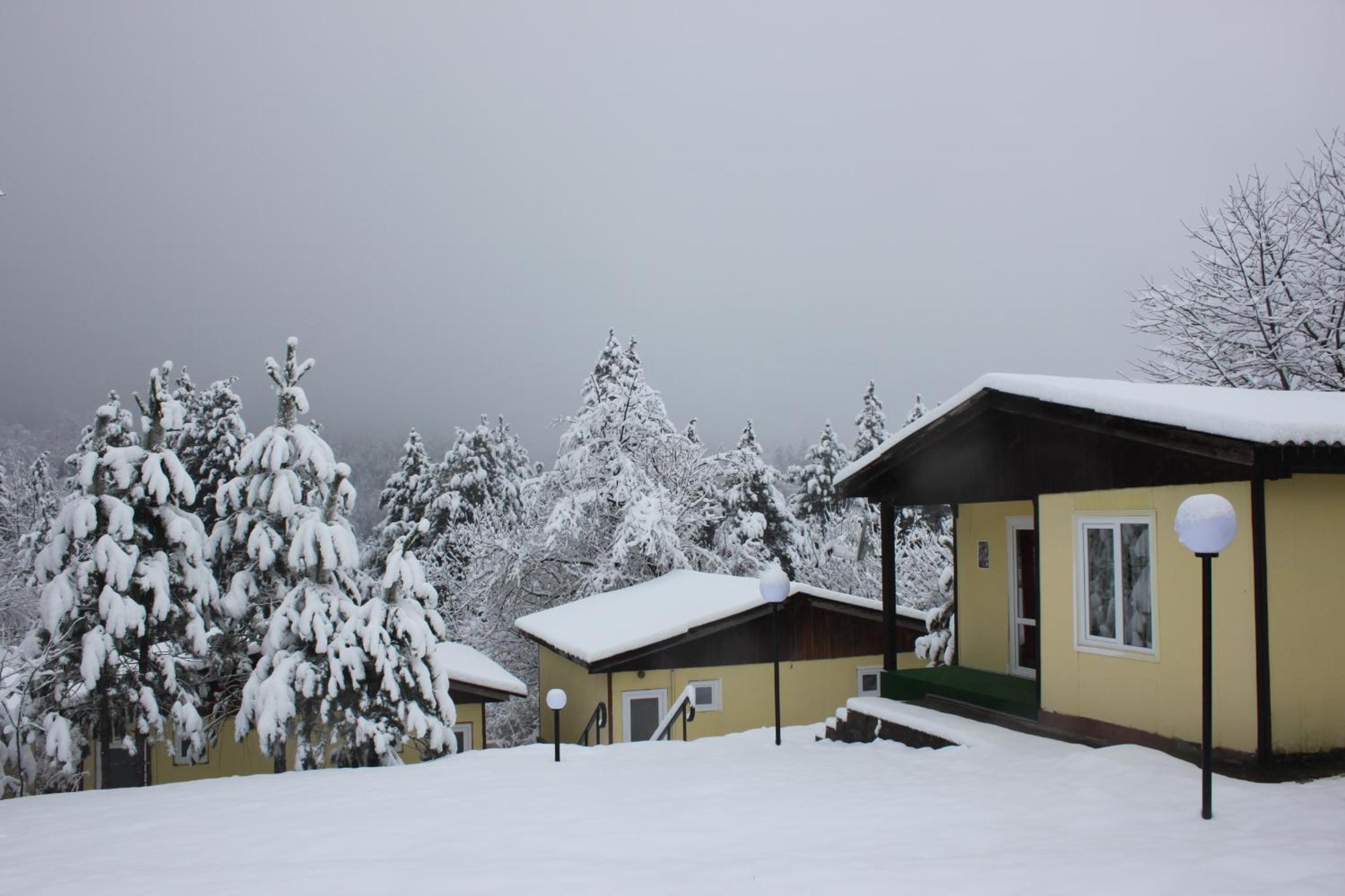 Daskalov Bungalows