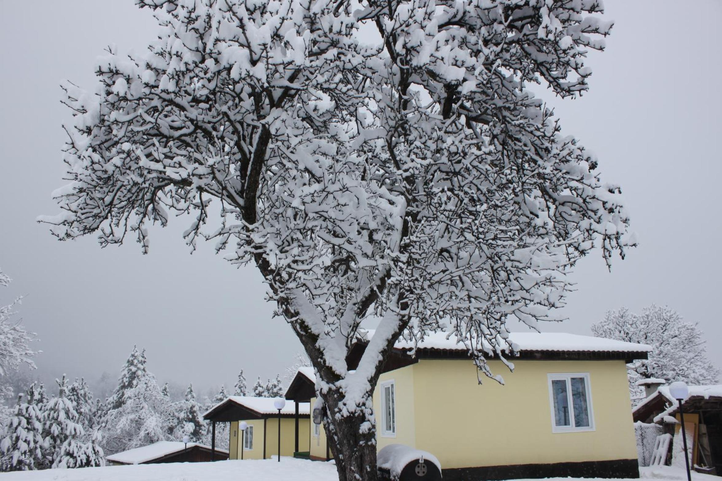 Daskalov Bungalows
