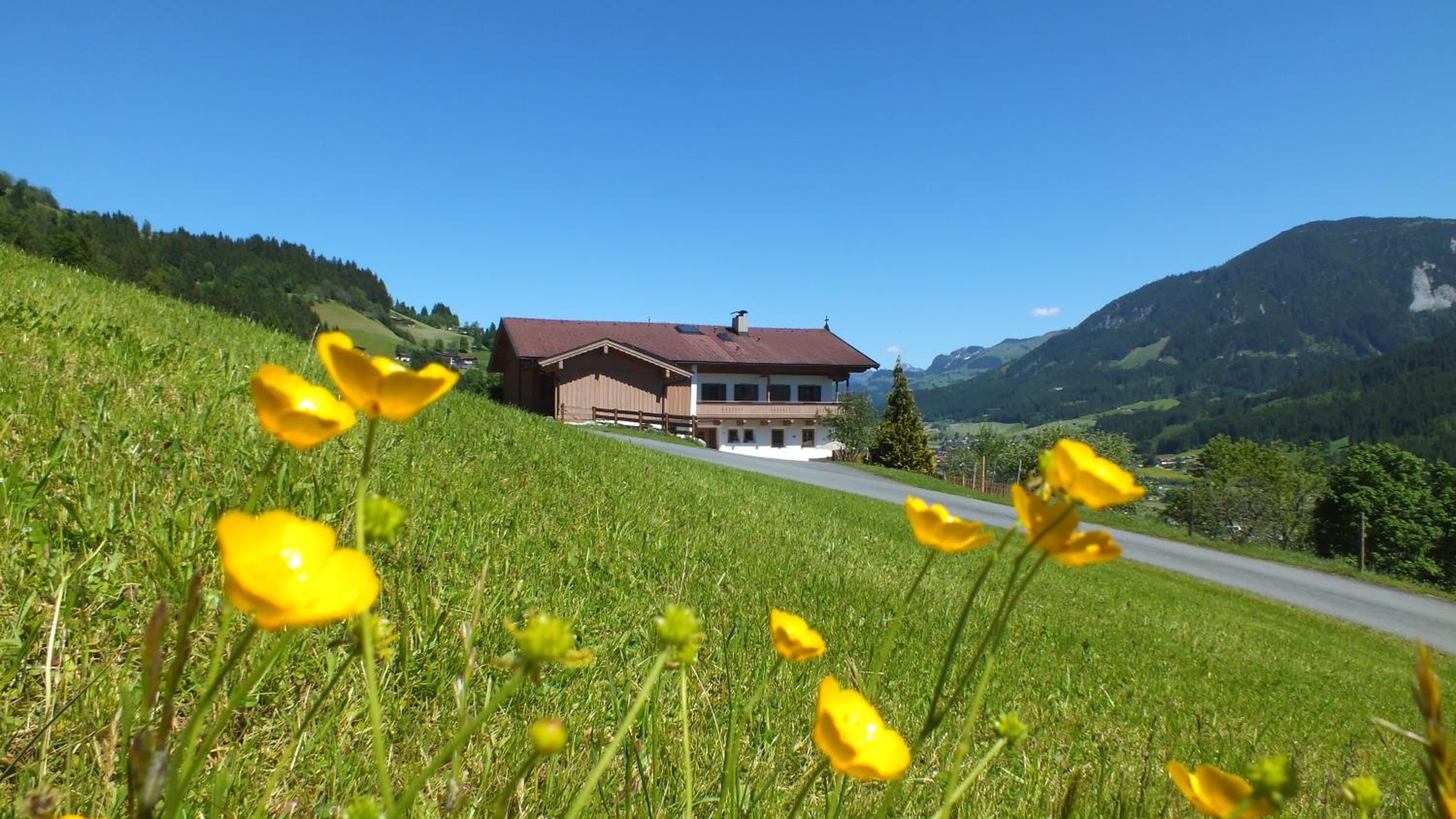 Franbichl
